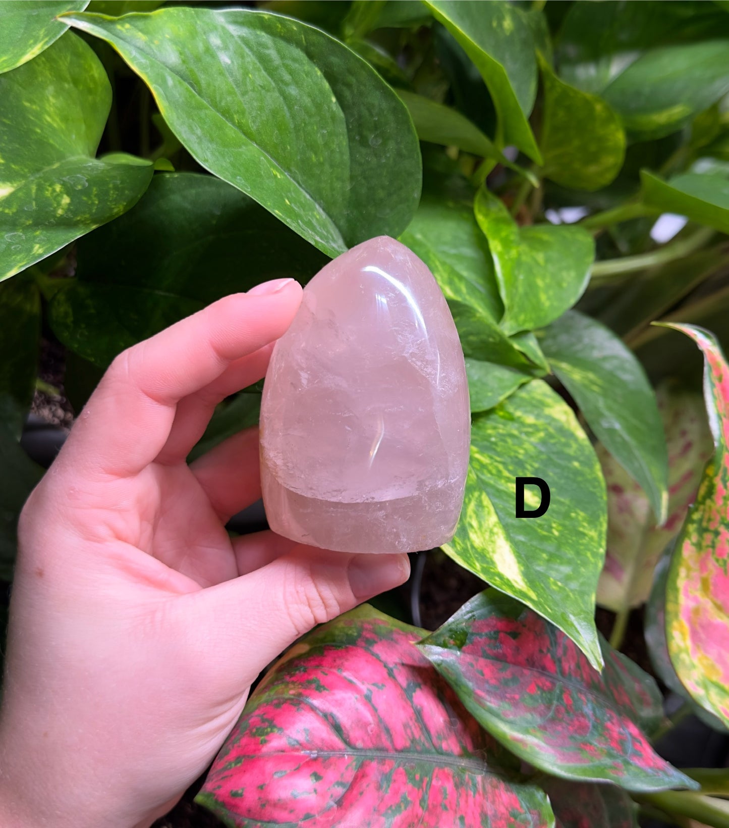 Rose Quartz Freeform