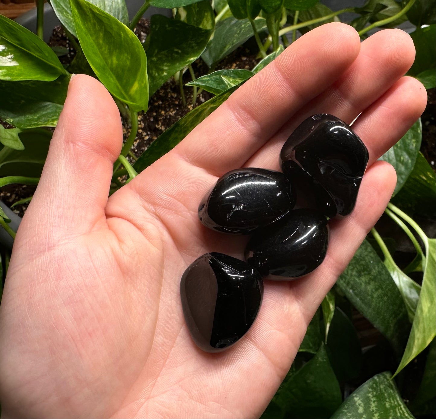 Black Obsidian Tumble
