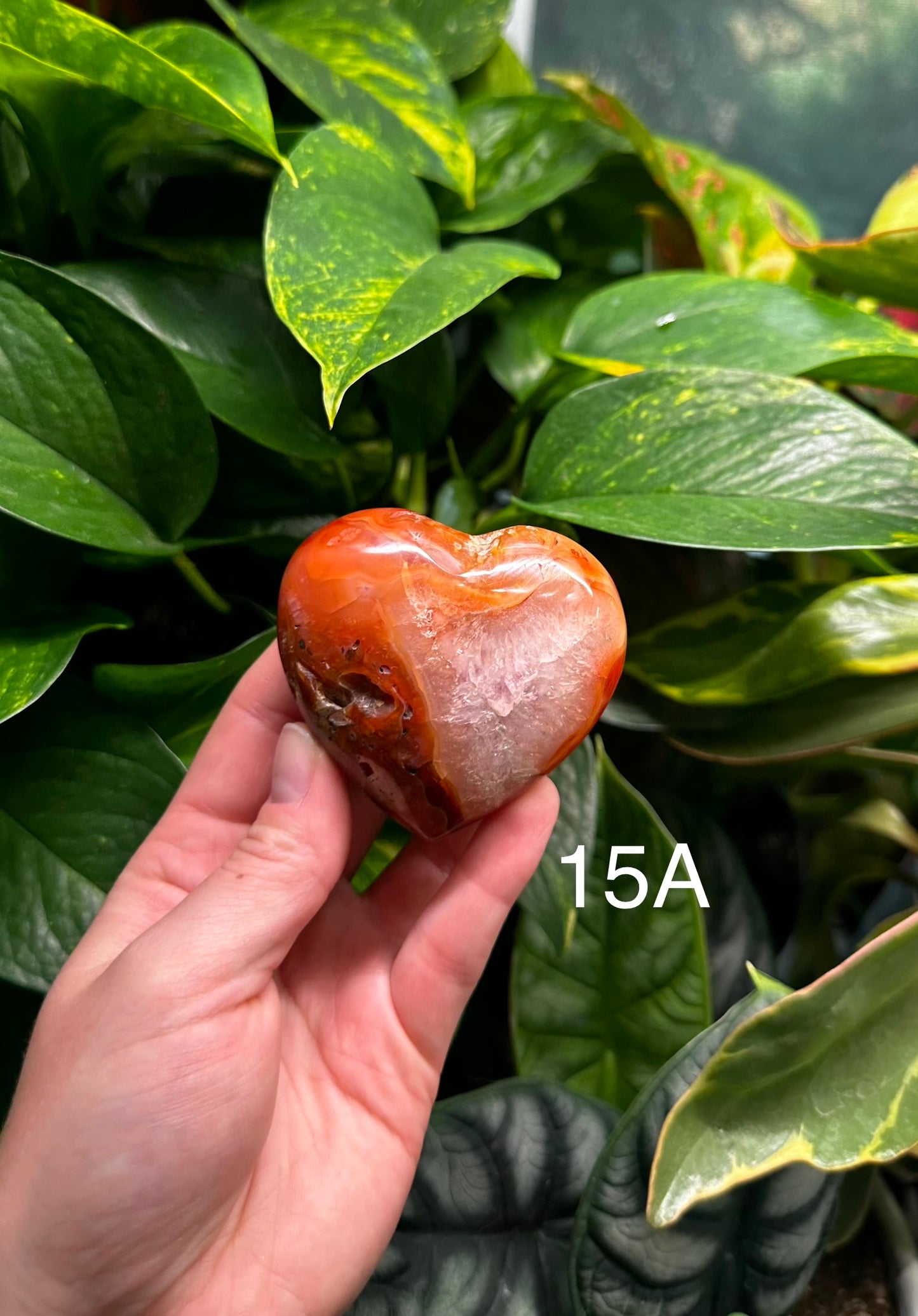 Carnelian Hearts