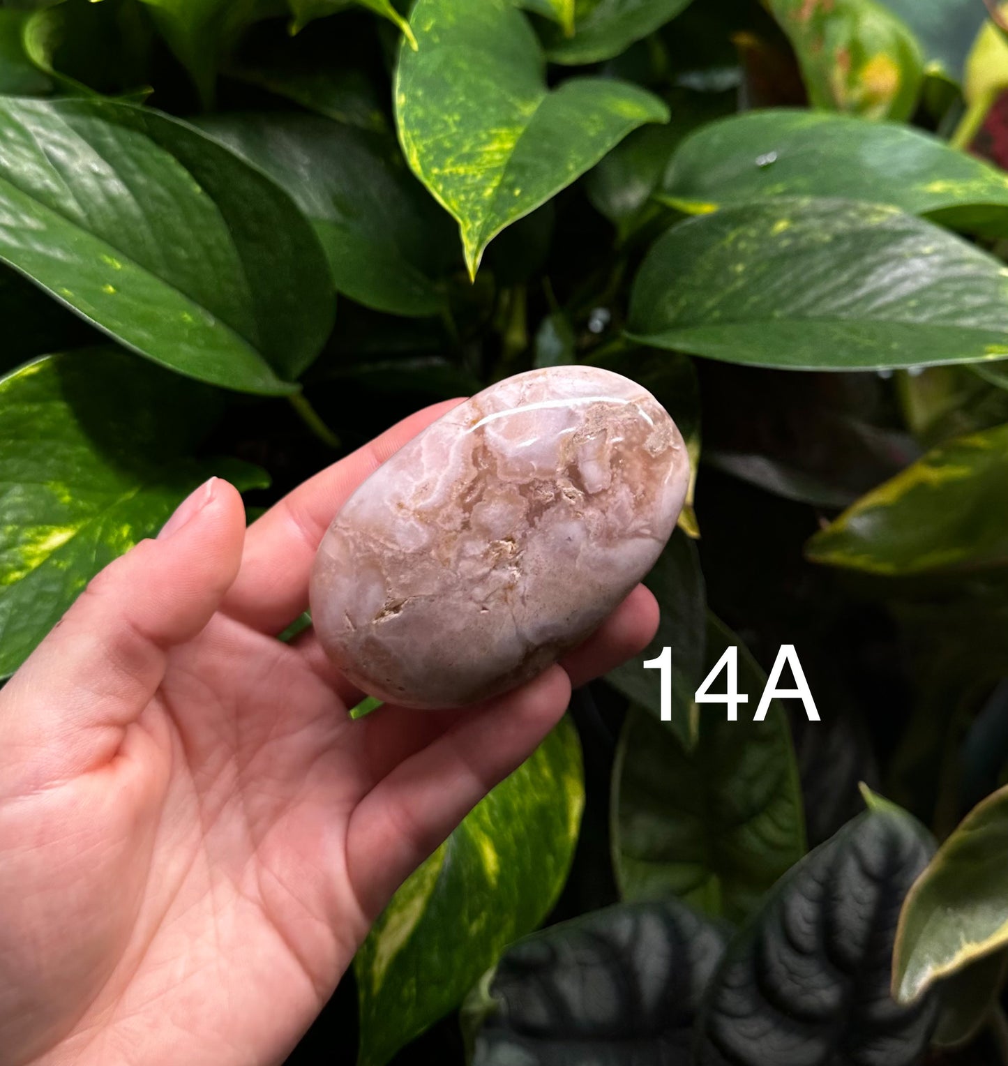 Flower Agate Palm Stones