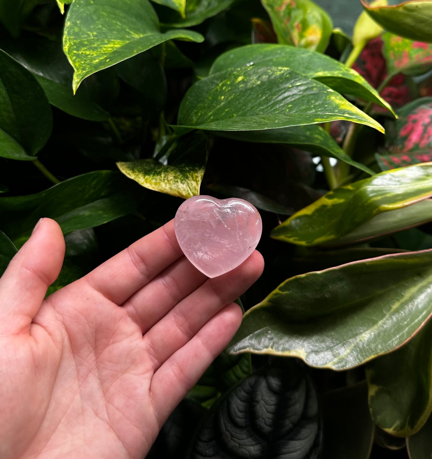 Rose Quartz Hearts