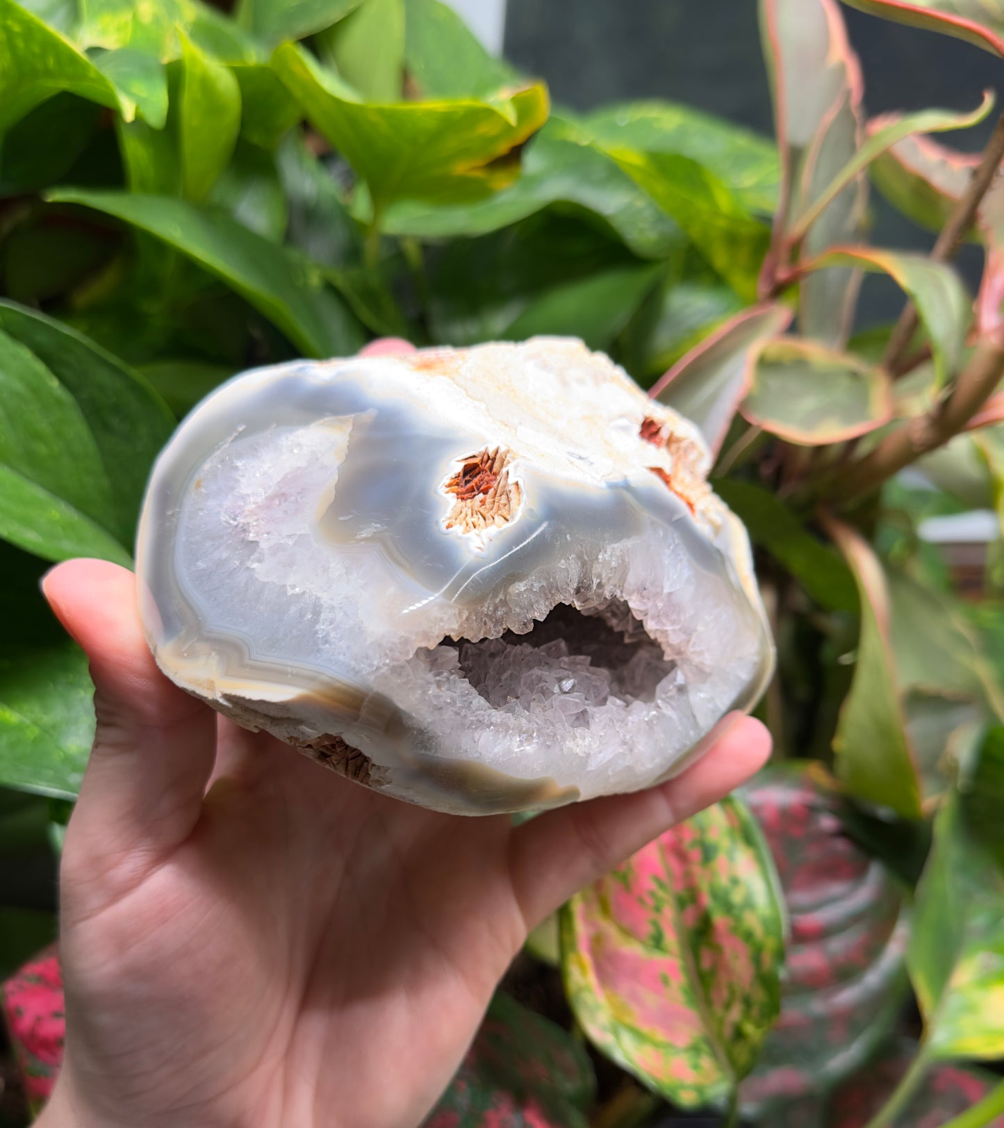 Amethyst Geode