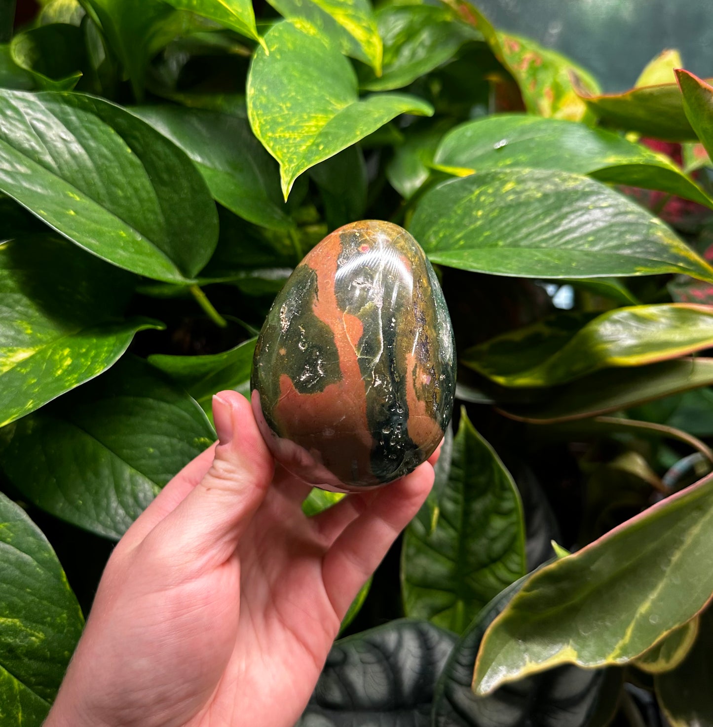 Ocean Jasper Egg