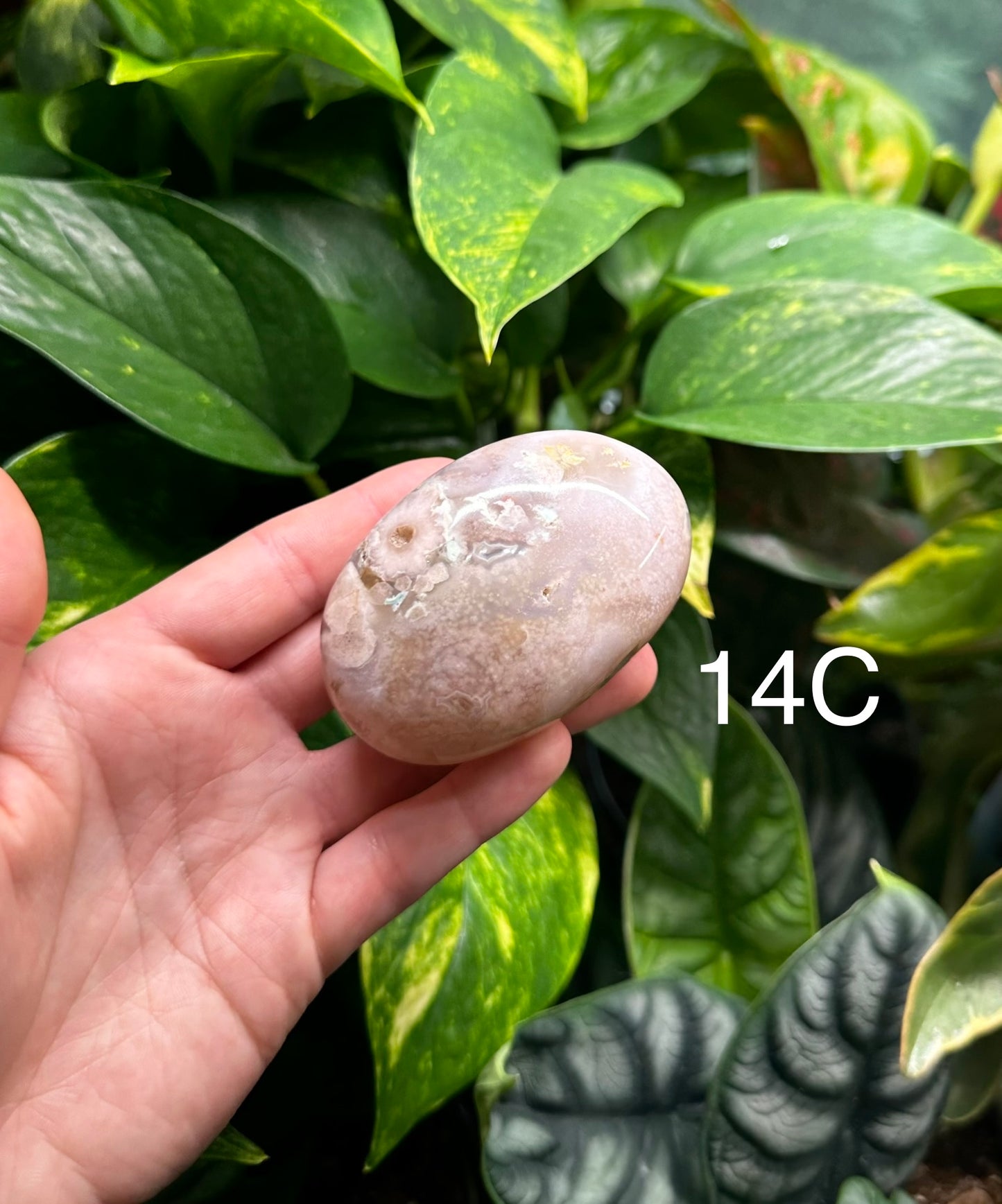 Flower Agate Palm Stones