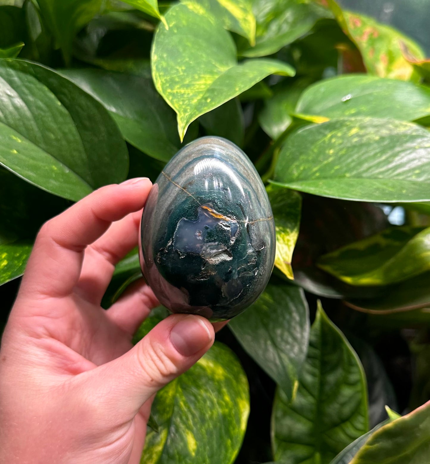 Ocean Jasper Egg