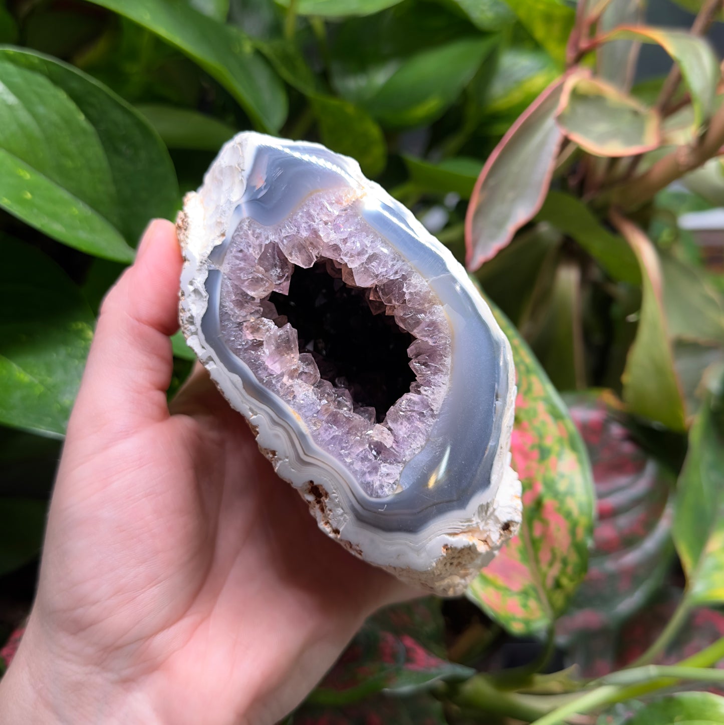 Amethyst Geode