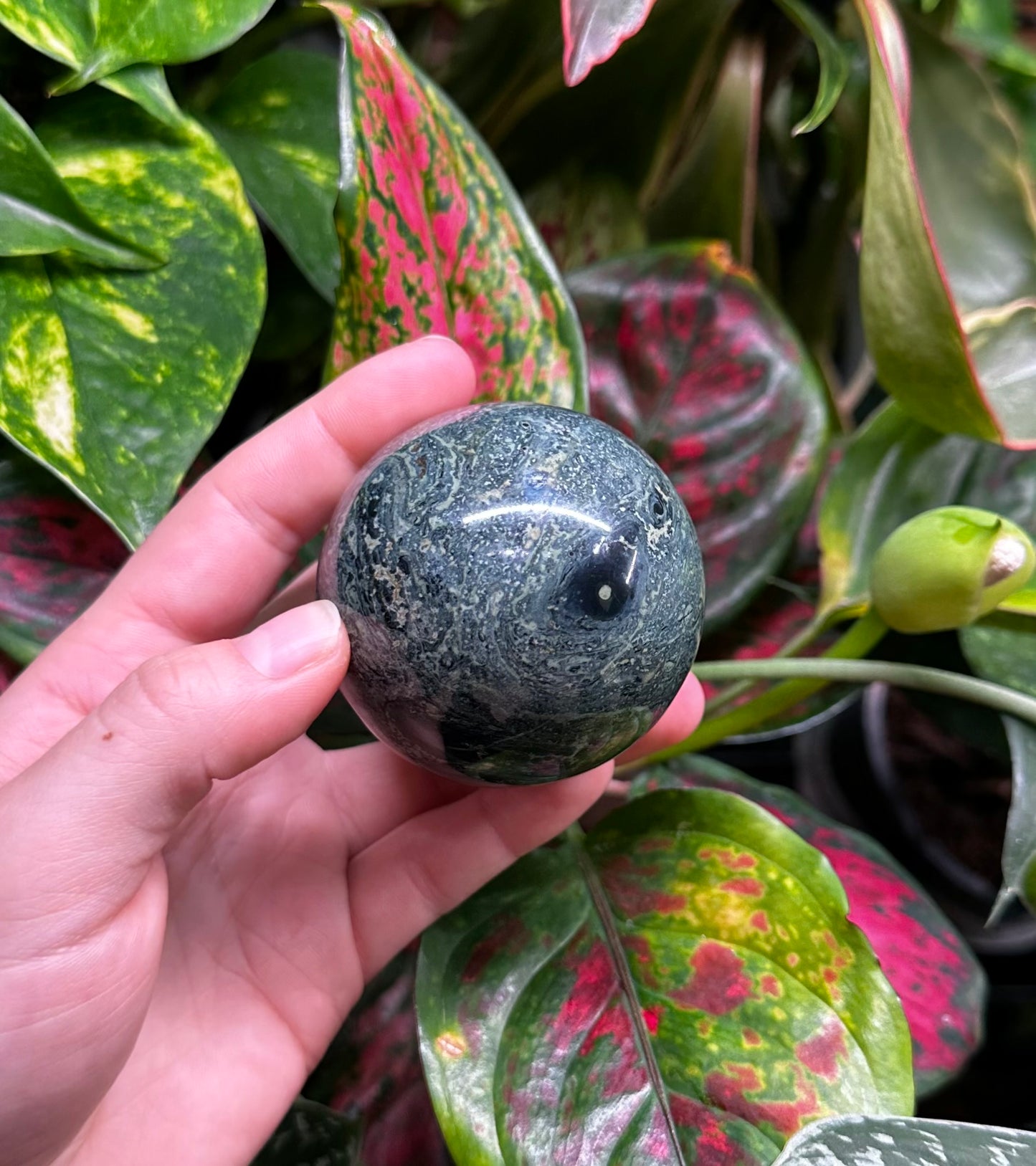 Kambaba Jasper Sphere