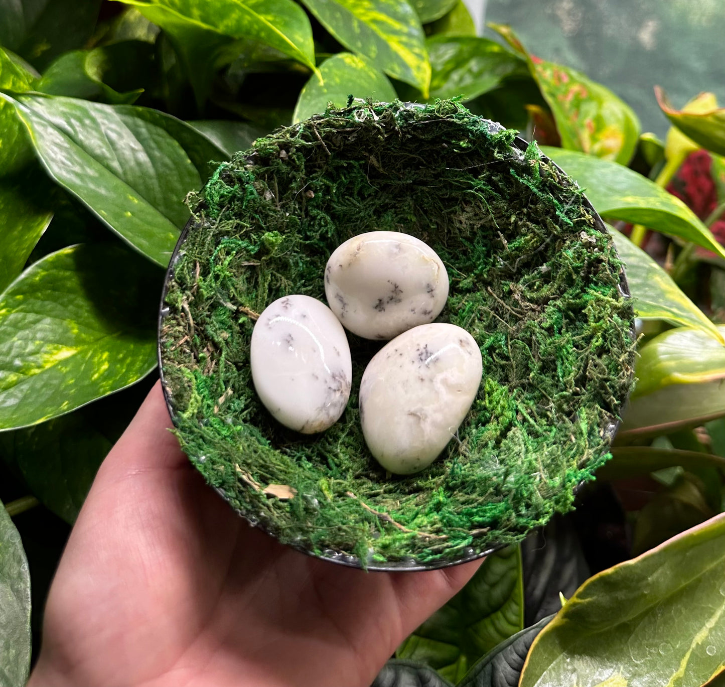 Small Dendritic Opal Palm Stones