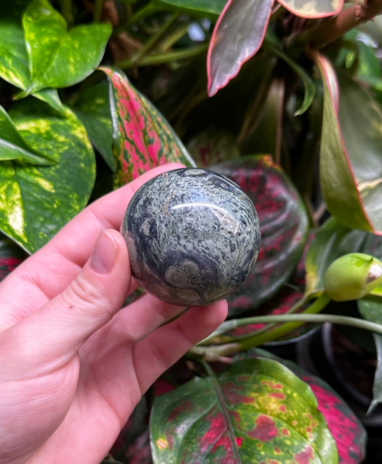 Kambaba Jasper Sphere