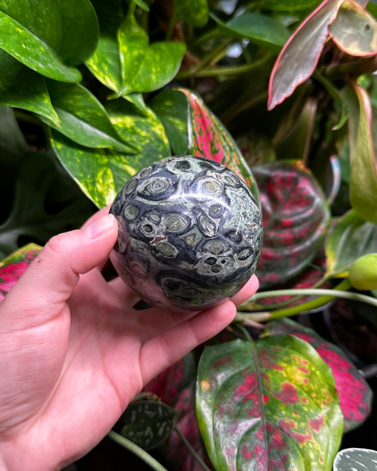 Kambaba Jasper Sphere