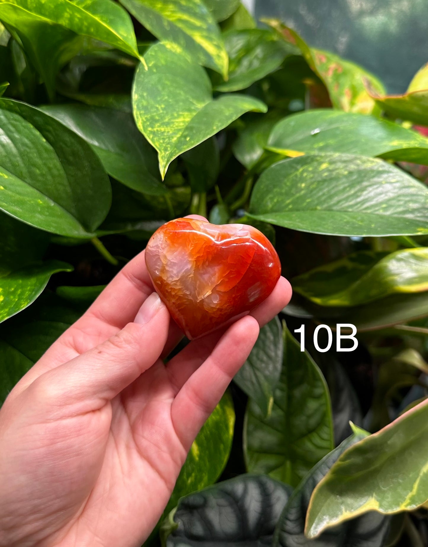 Carnelian Hearts