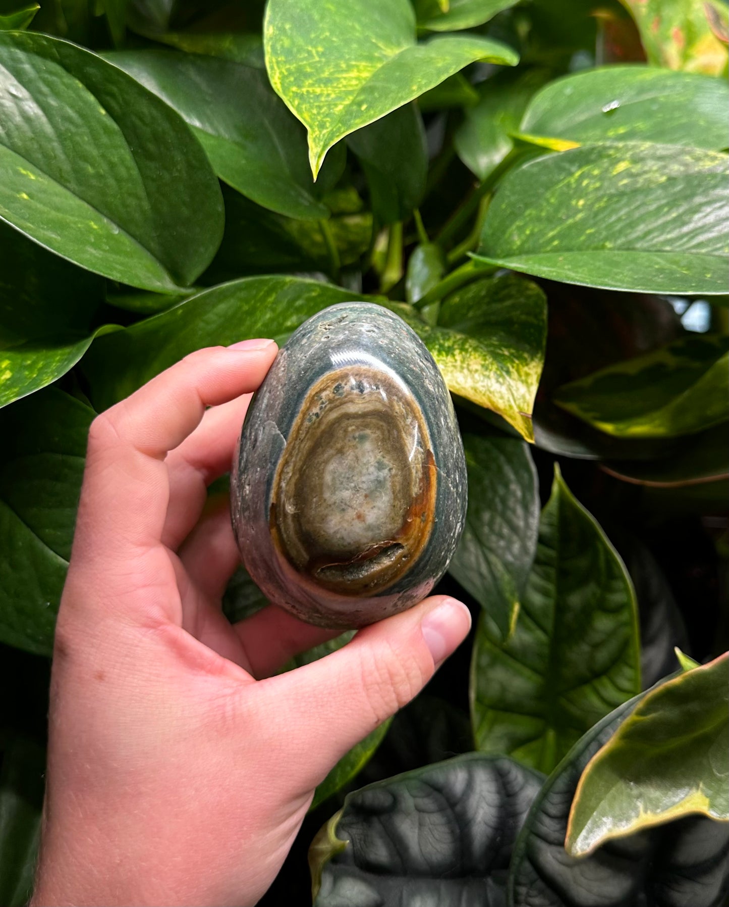 Ocean Jasper Egg