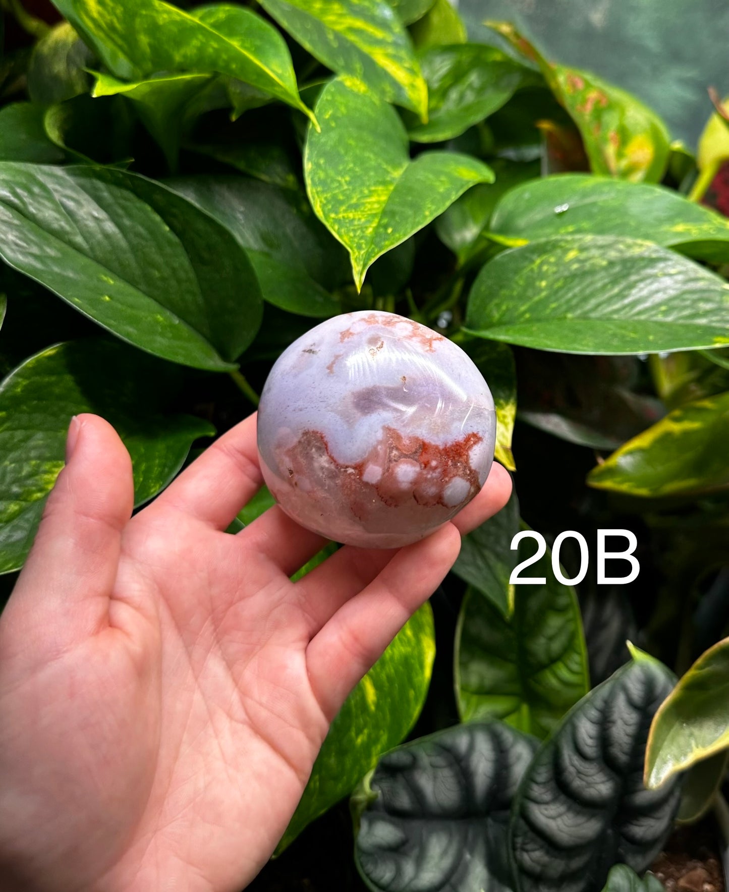 Flower Agate Palm Stones