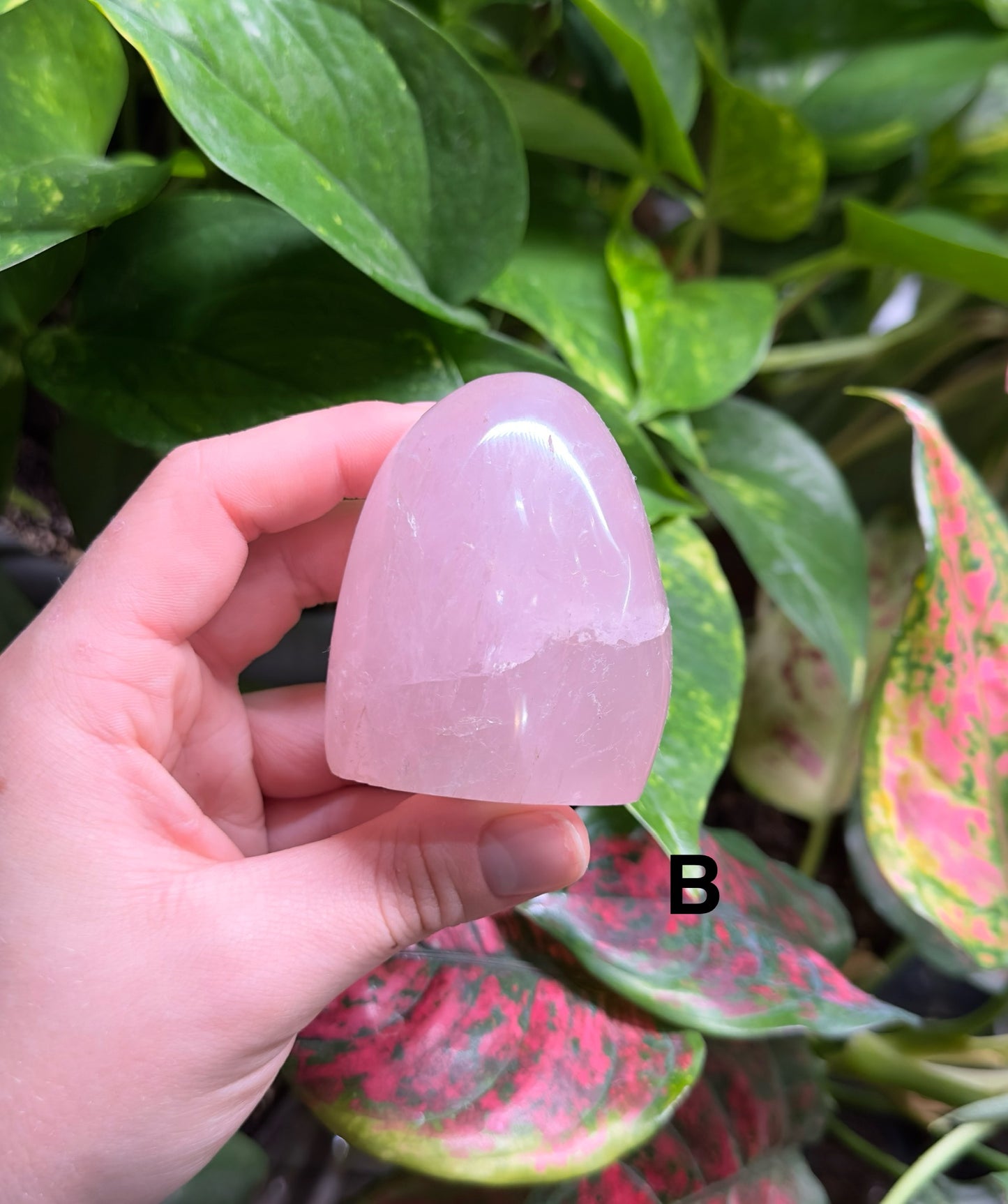 Rose Quartz Freeform