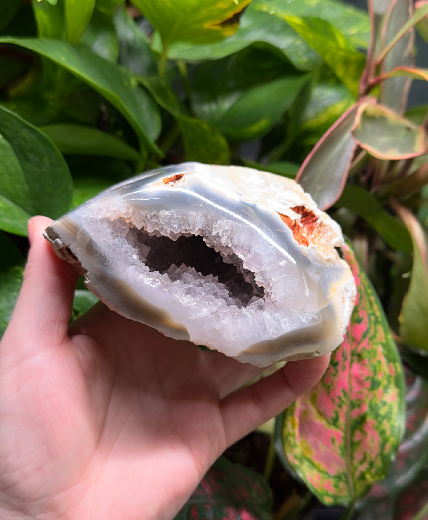 Amethyst Geode