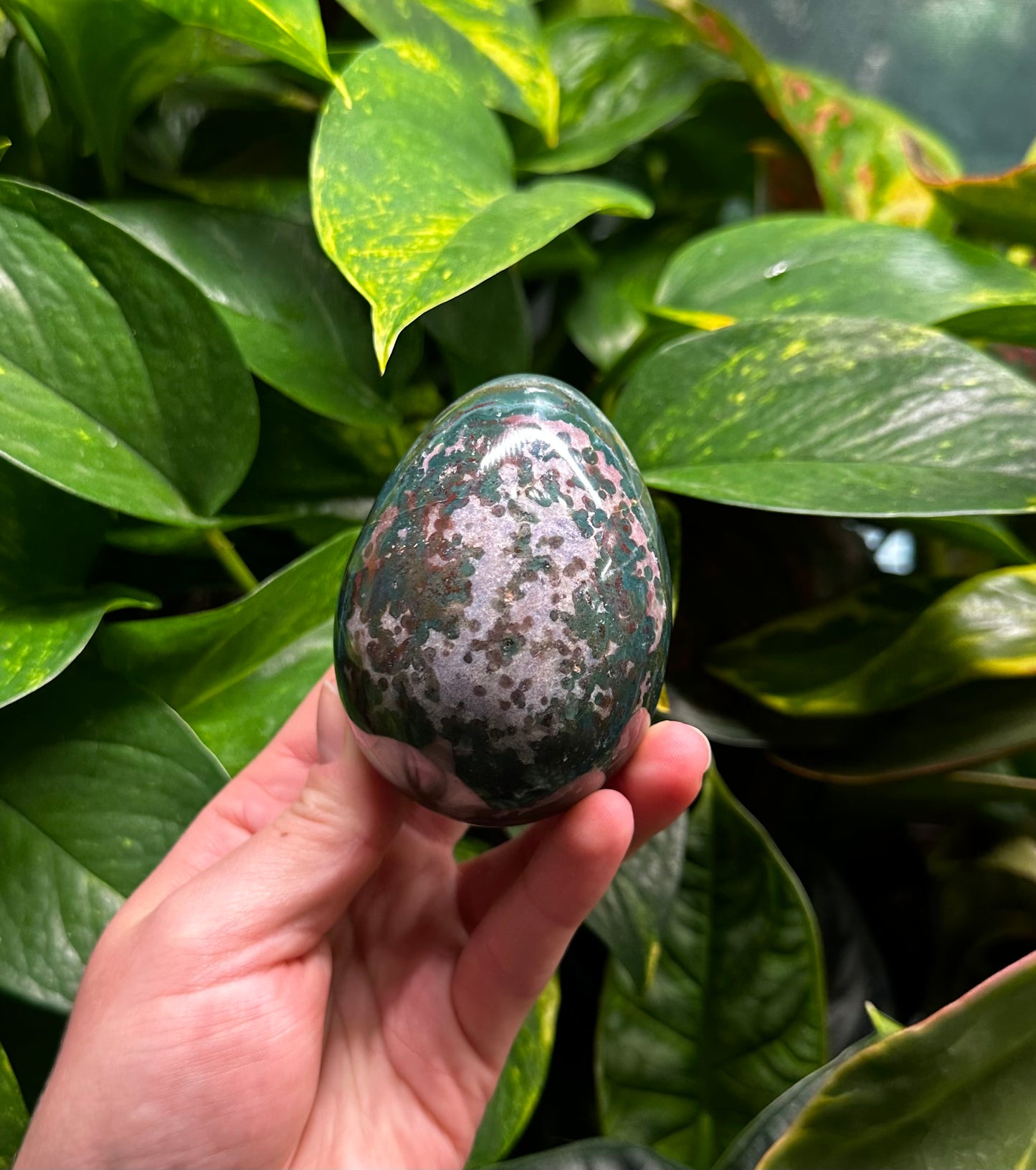 Ocean Jasper Egg