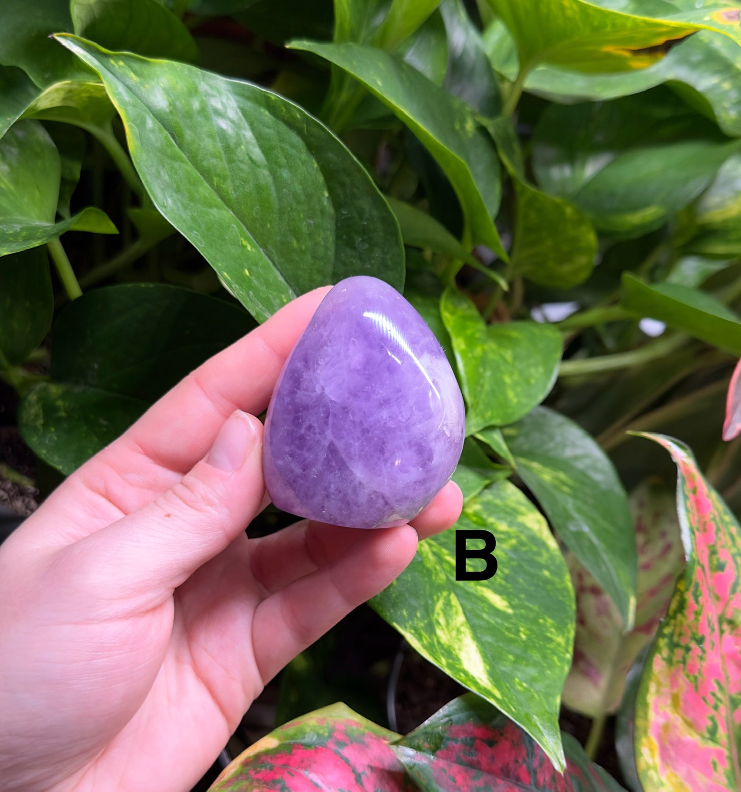 Chevron Amethyst Freeforms