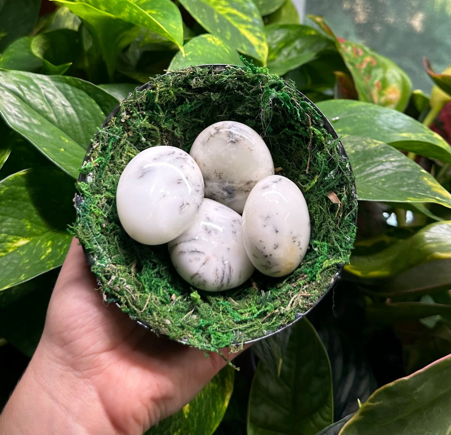 Medium Dendritic Opal Palm Stones