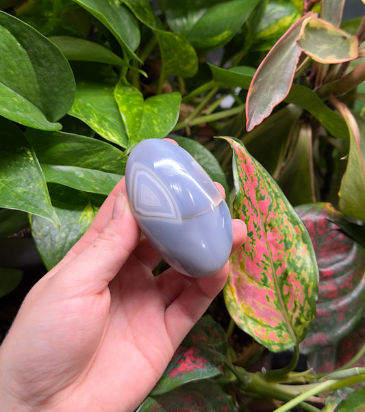 Agate Palm Stone