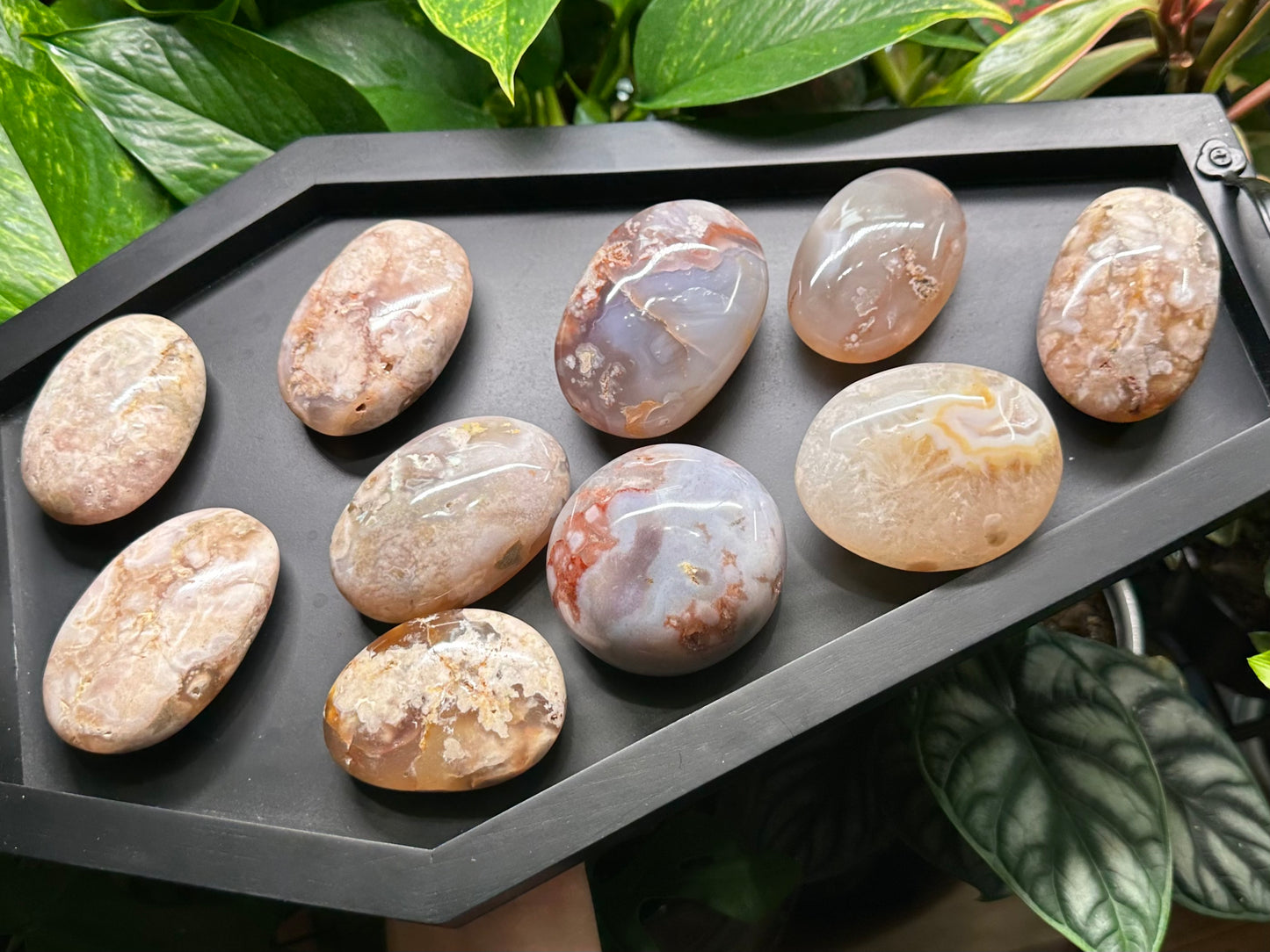 Flower Agate Palm Stones