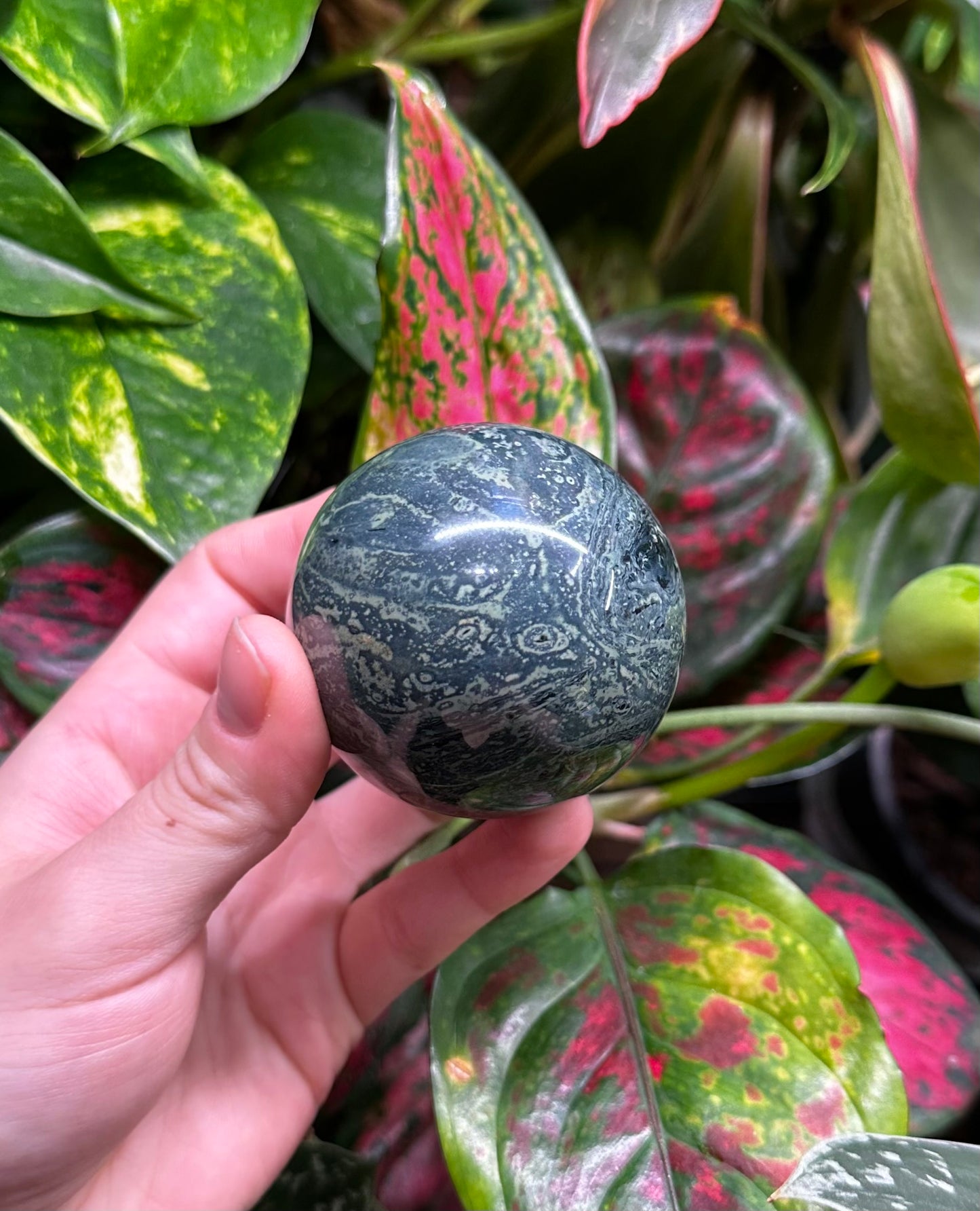 Kambaba Jasper Sphere