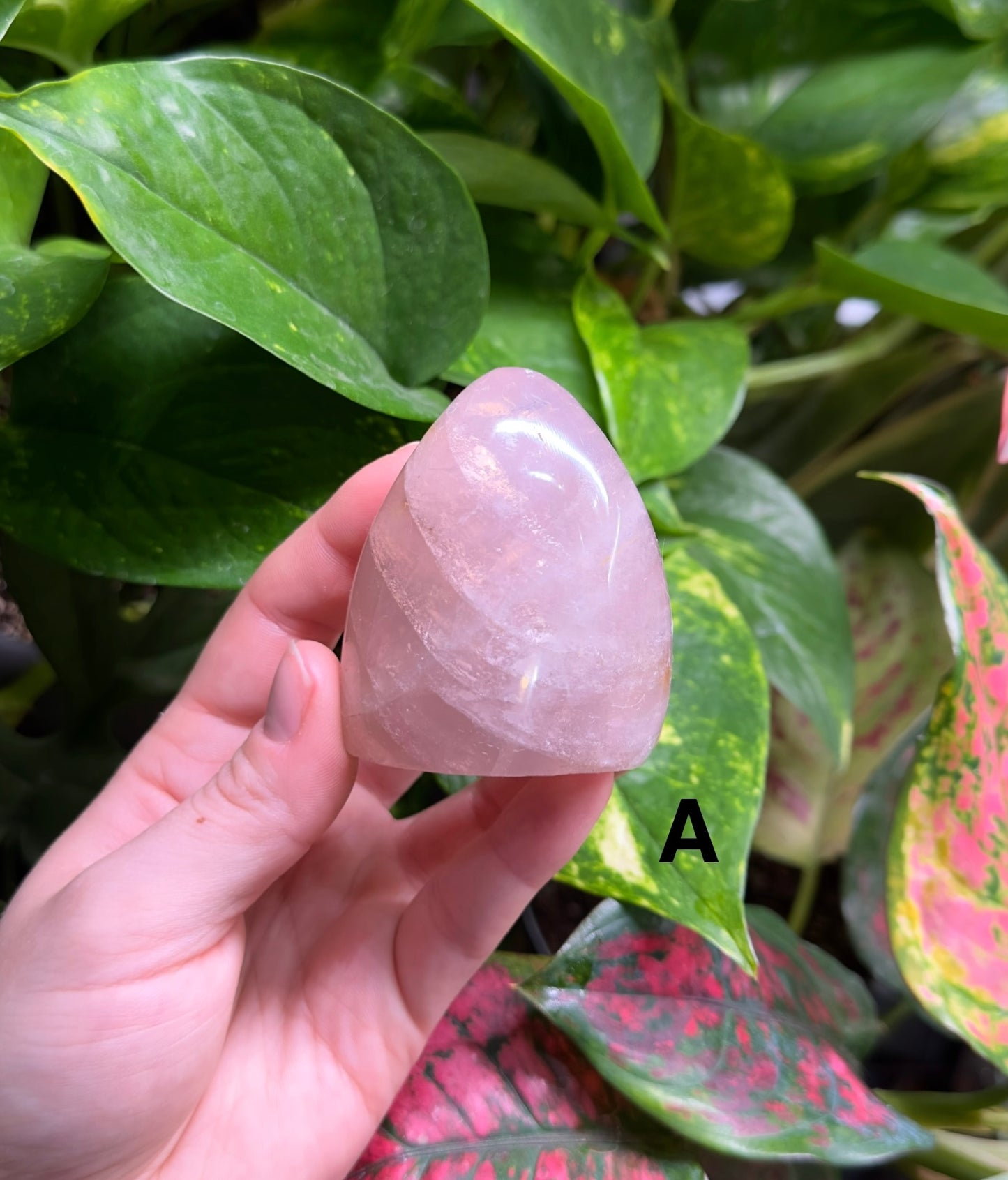 Rose Quartz Freeform