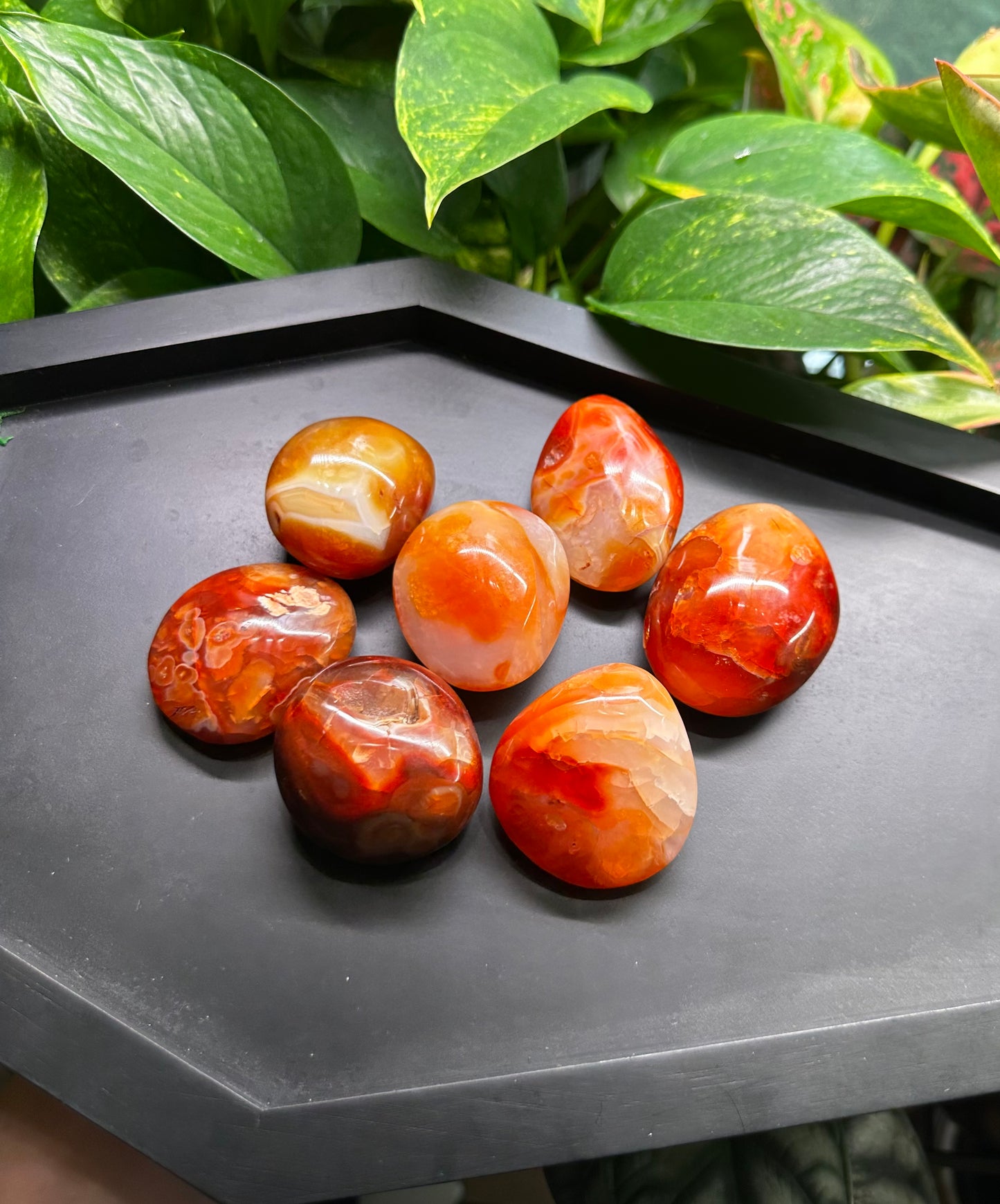 Medium Carnelian Palm Stones