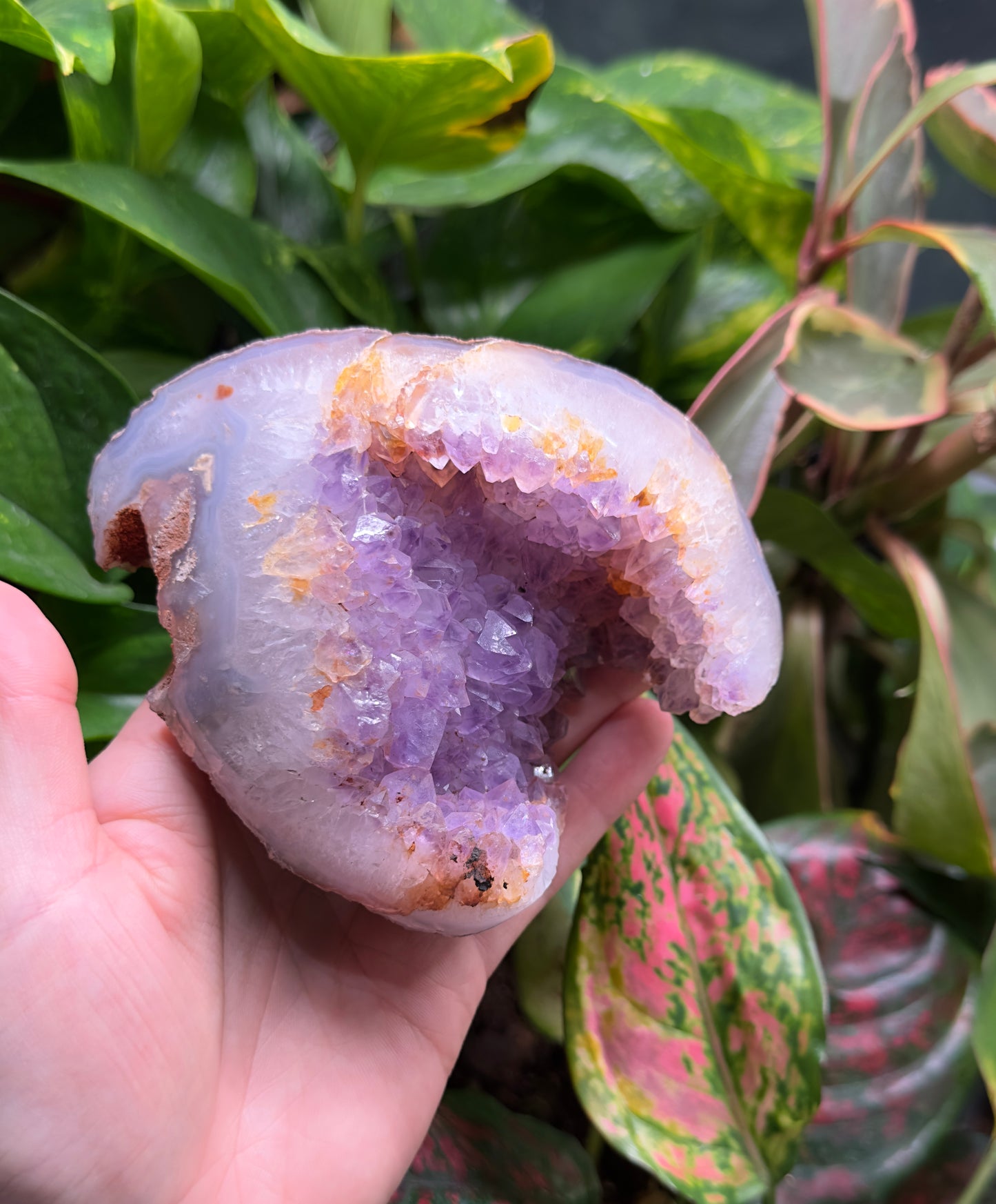 Amethyst Geode