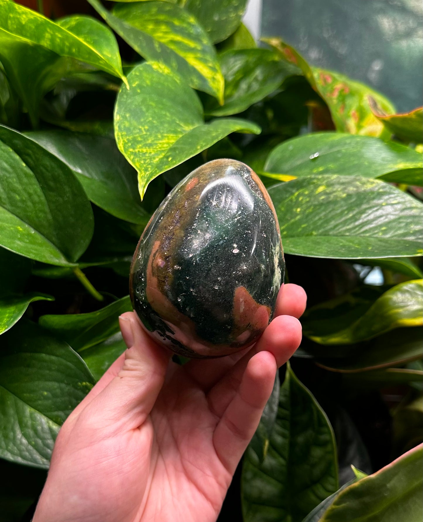 Ocean Jasper Egg