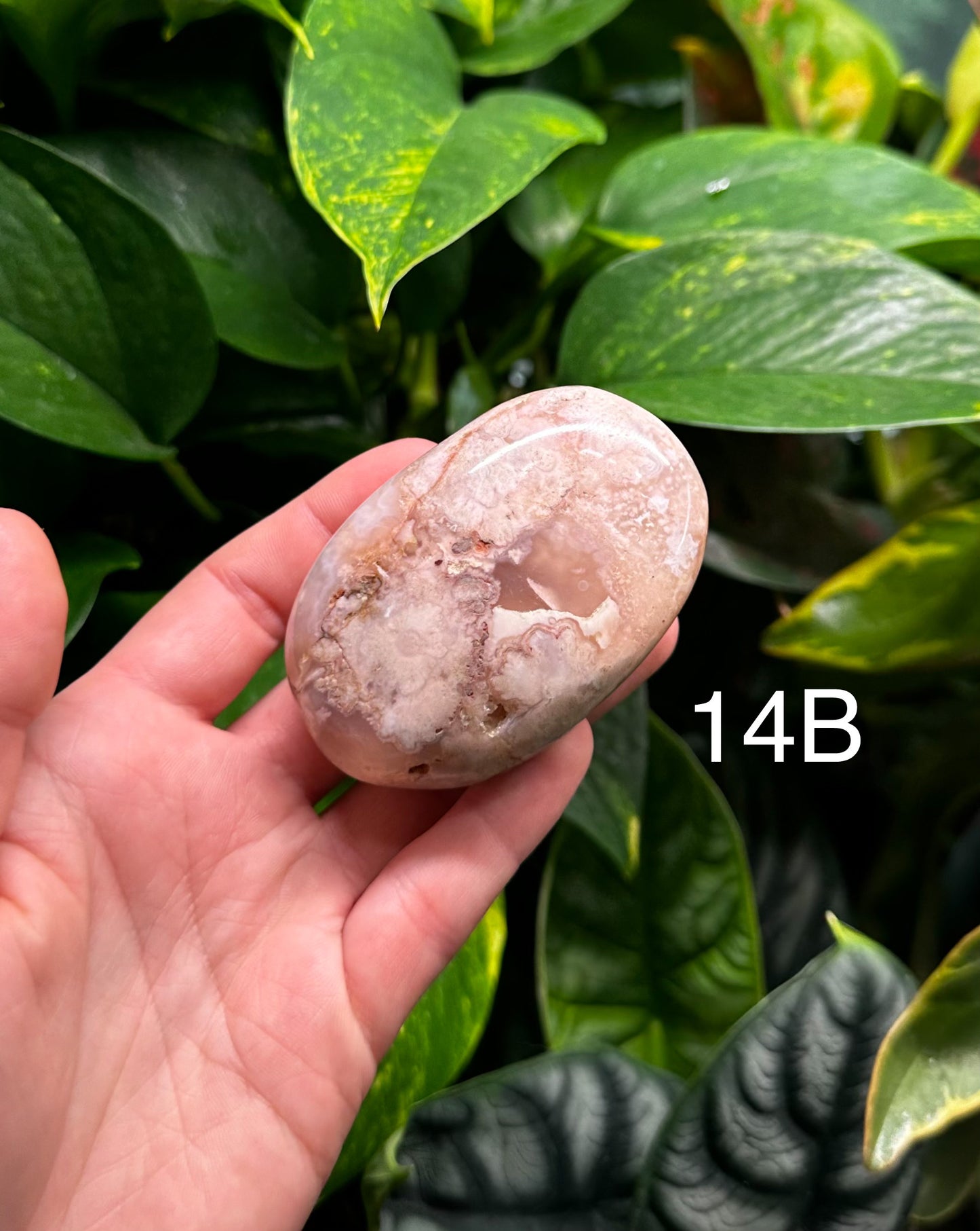 Flower Agate Palm Stones