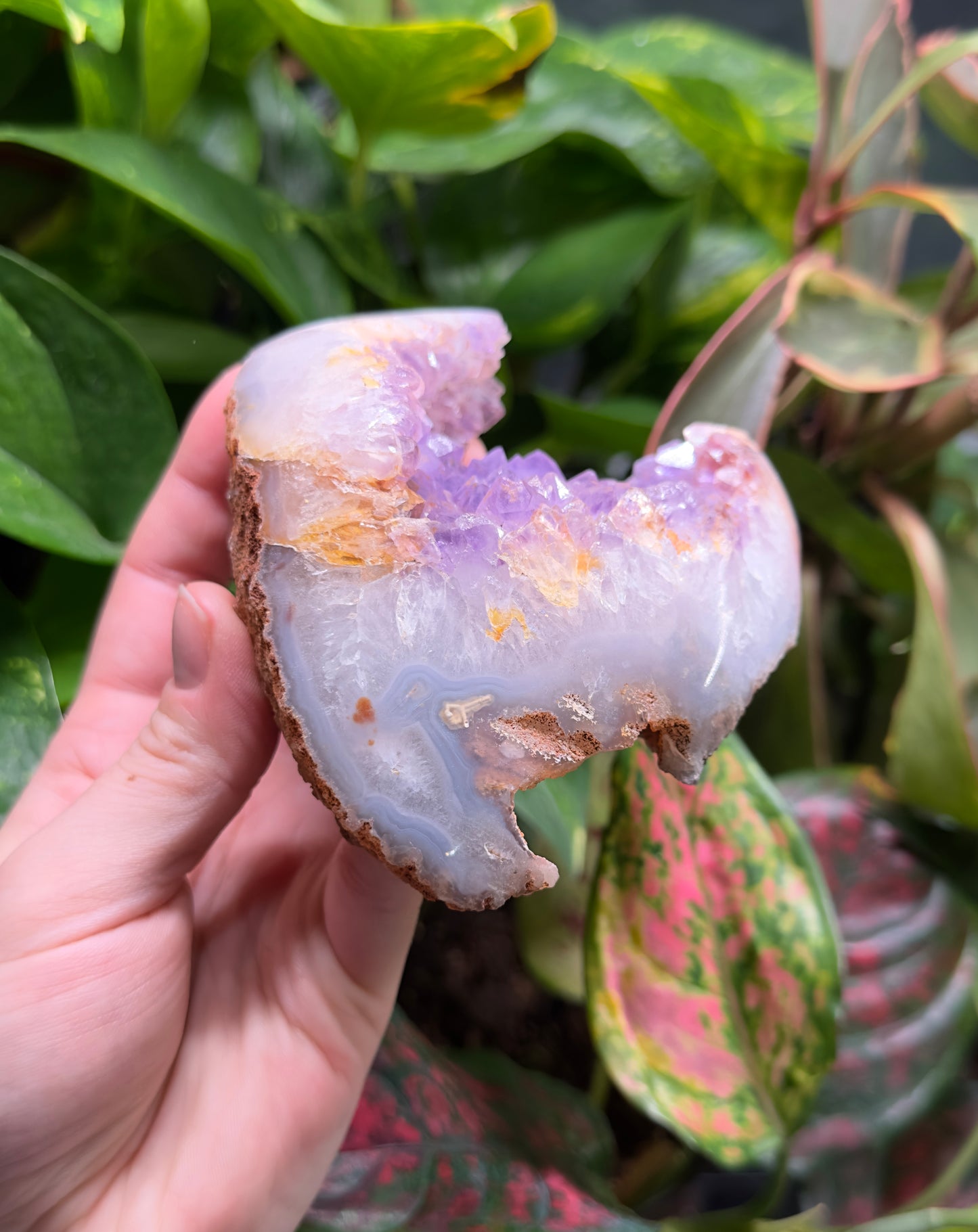 Amethyst Geode