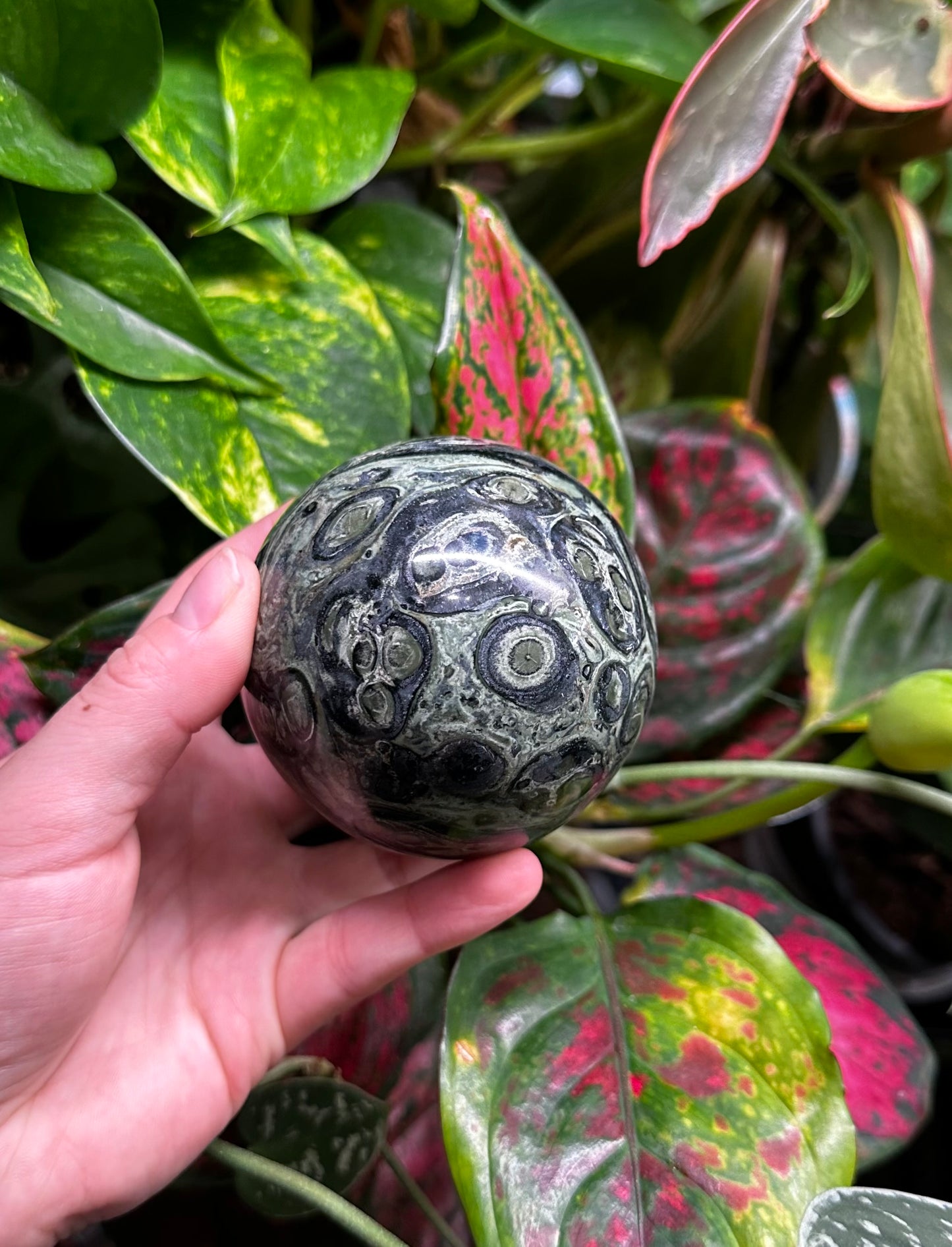 Kambaba Jasper Sphere