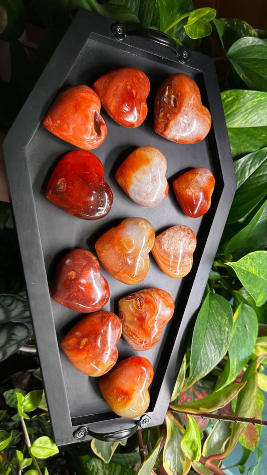 Carnelian Hearts