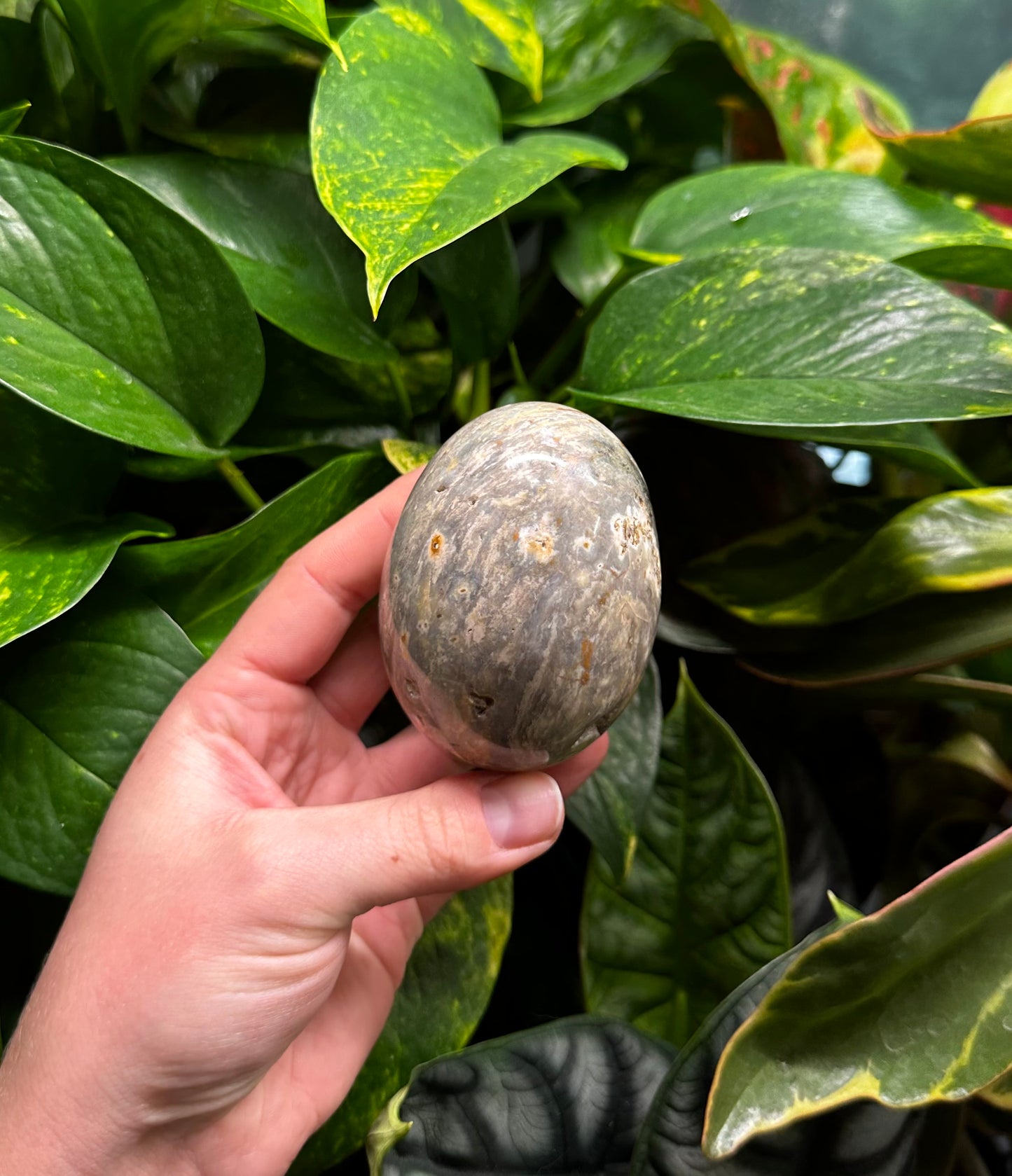 Ocean Jasper Egg