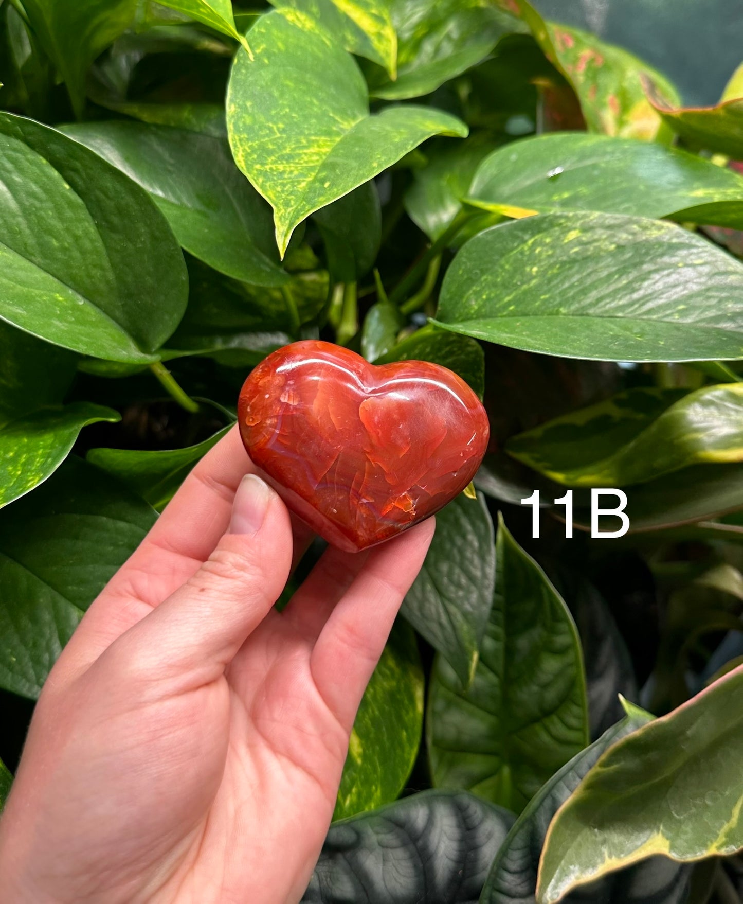 Carnelian Hearts