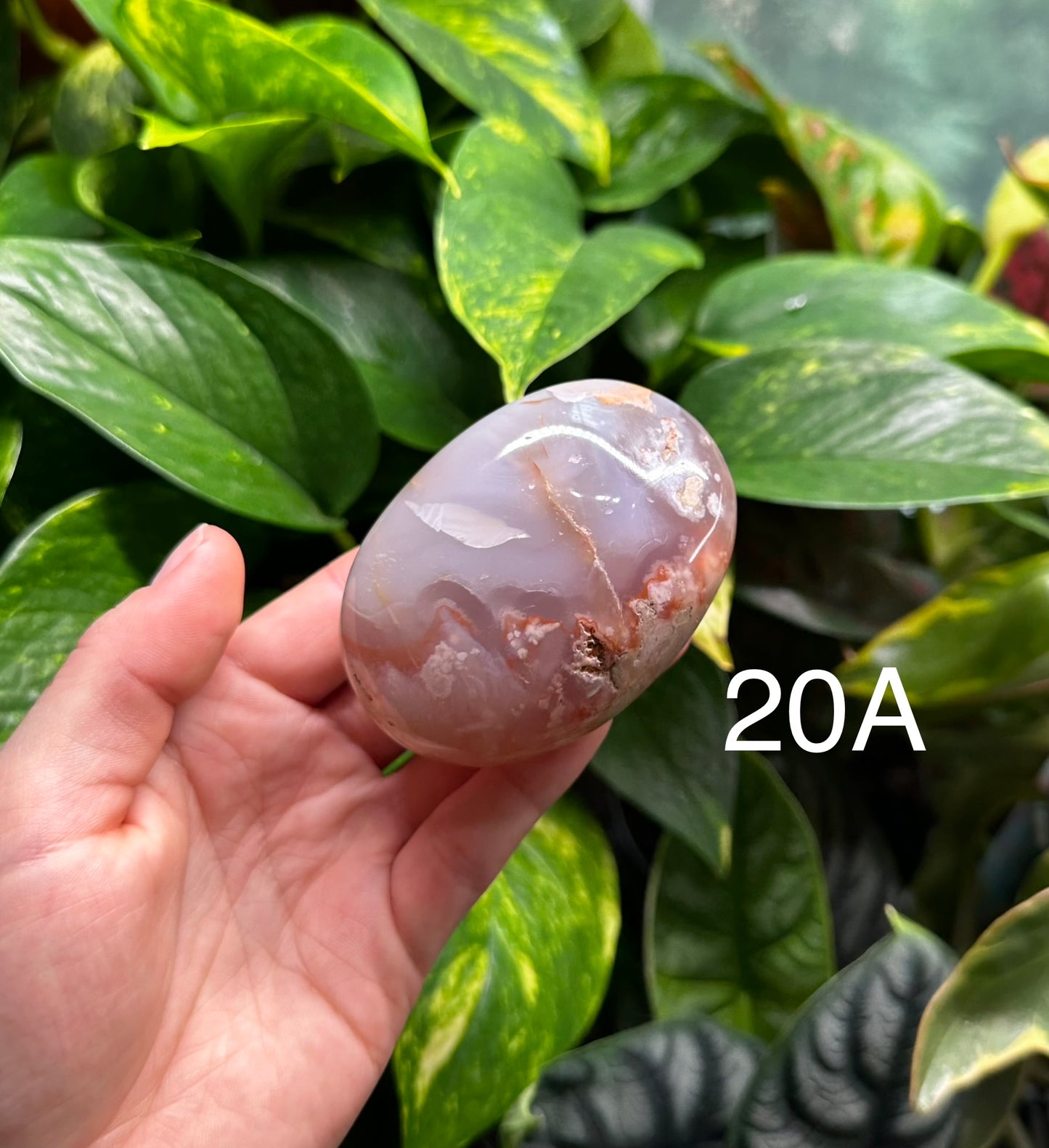 Flower Agate Palm Stones