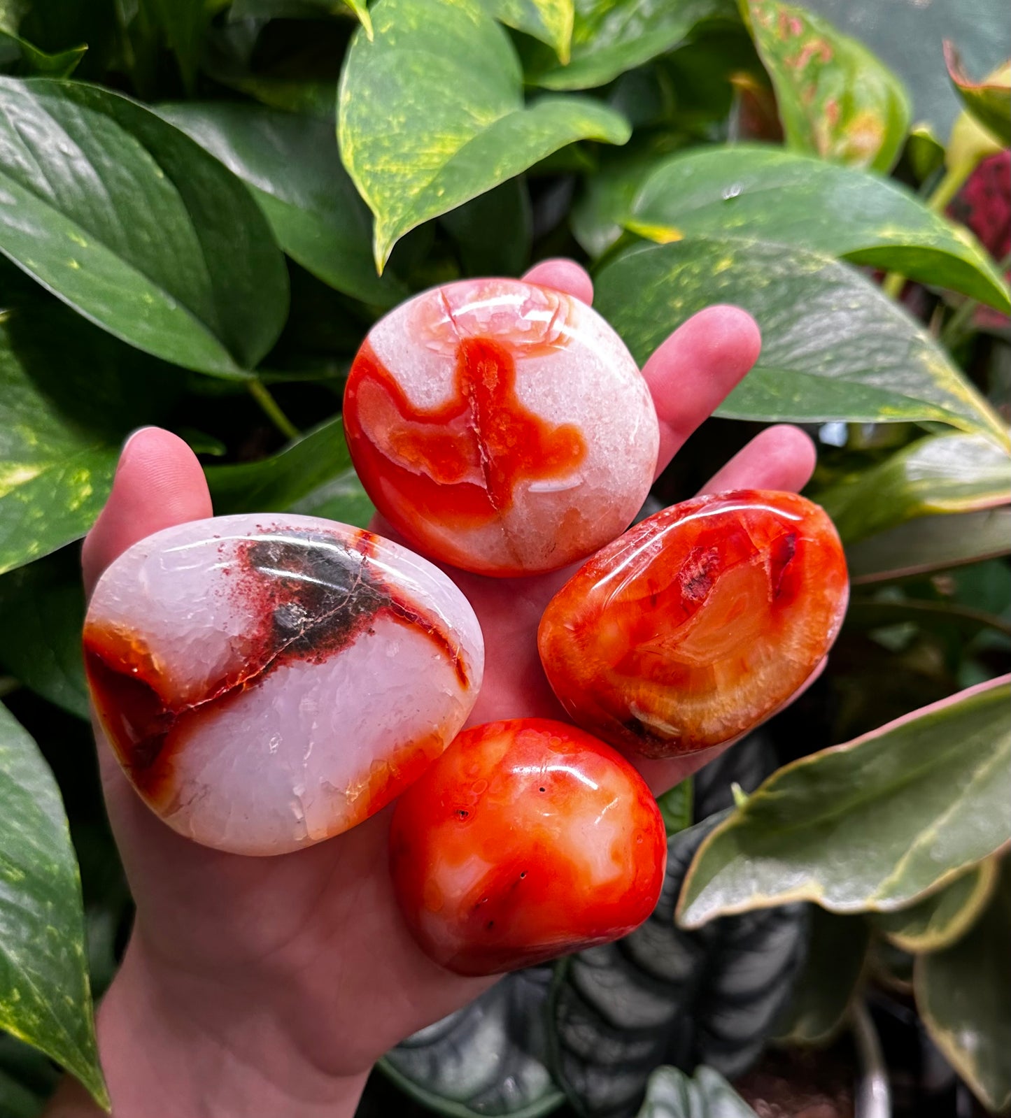 Large Carnelian Palm Stones