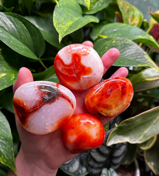 Large Carnelian Palm Stones