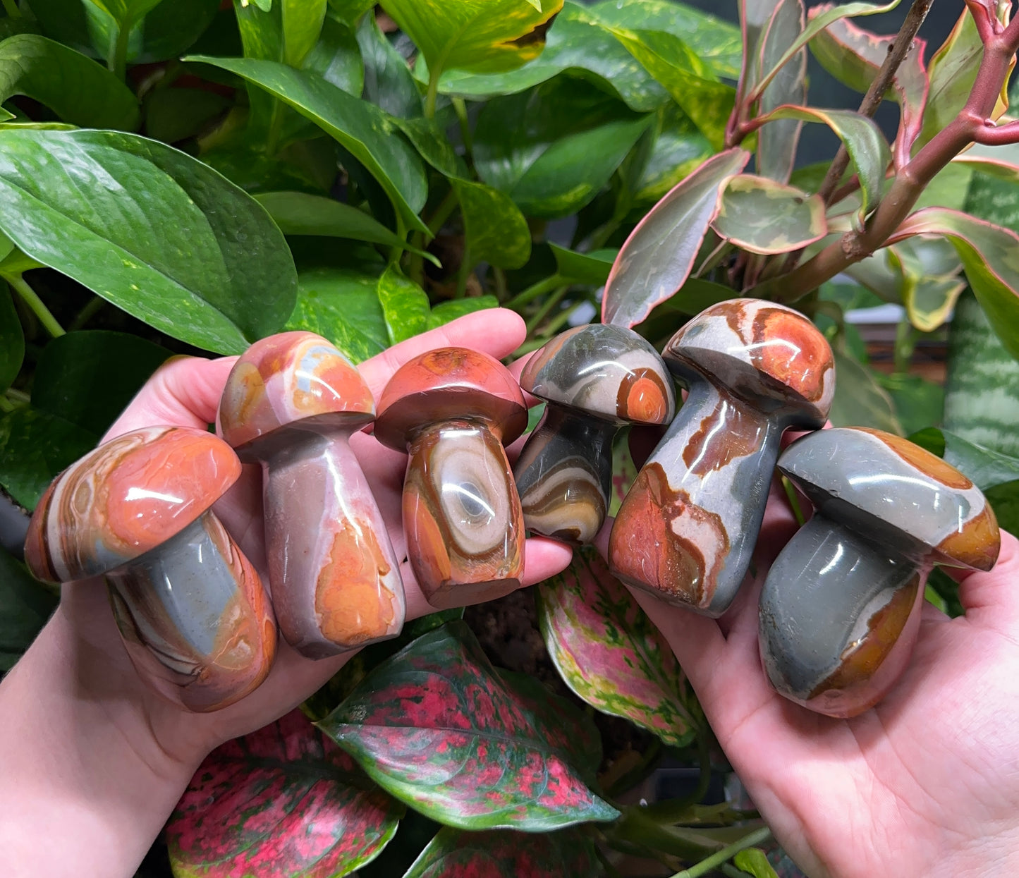 Polychrome Jasper Mushrooms