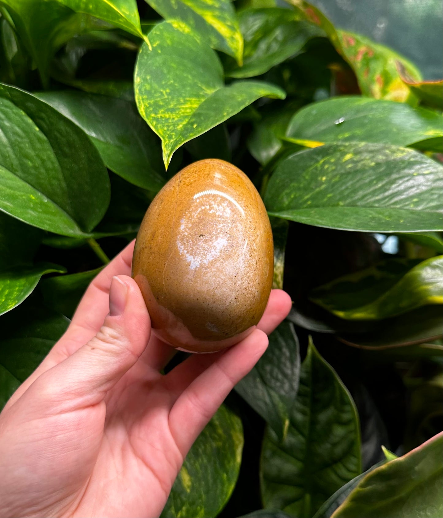 Ocean Jasper Egg