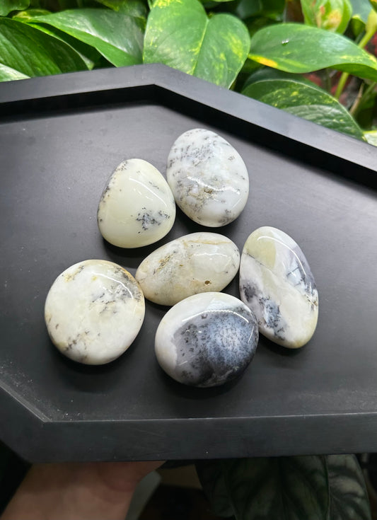 Large Dendritic Opal Palm Stones