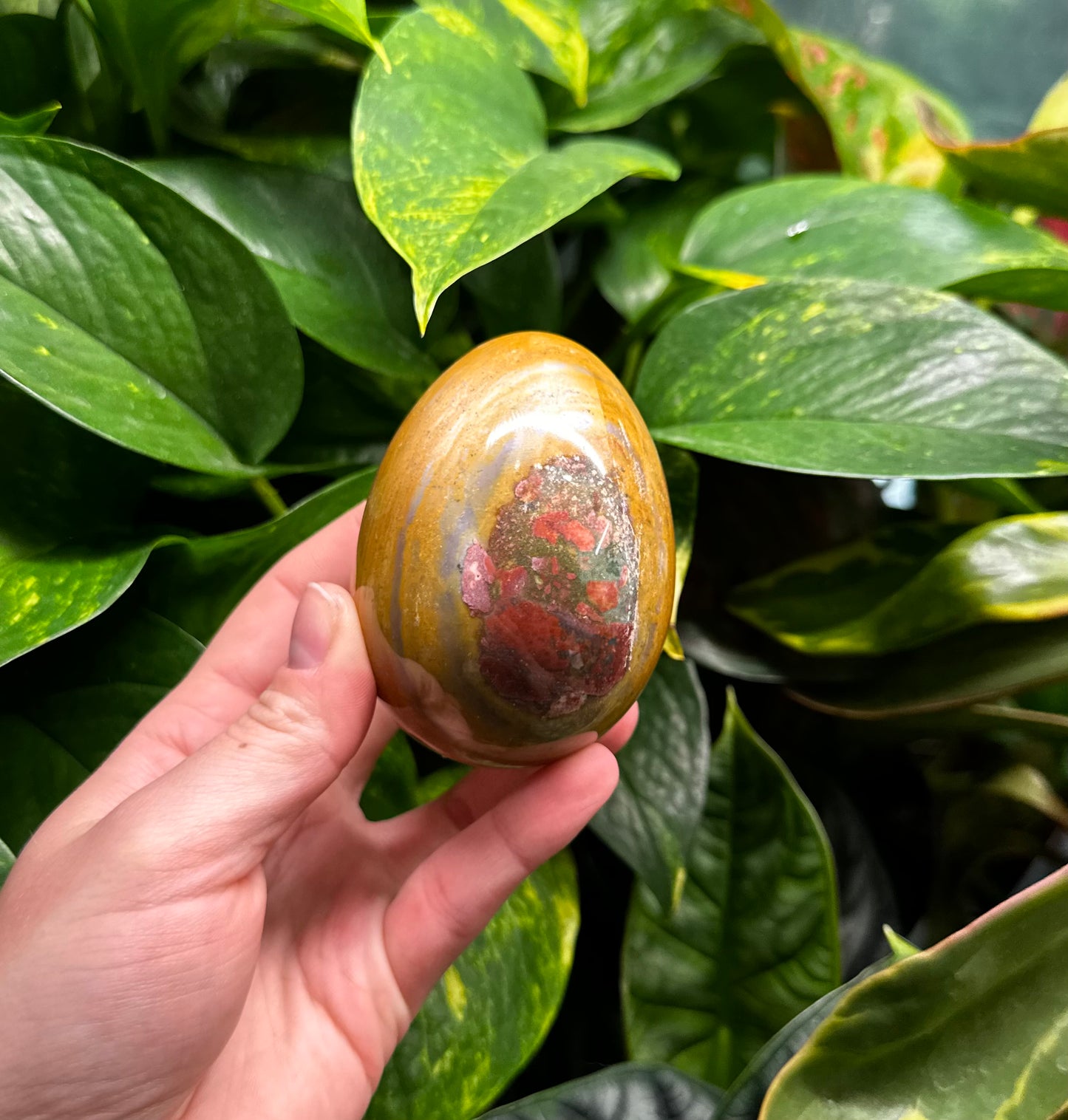 Ocean Jasper Egg