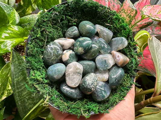 Moss Agate Tumble