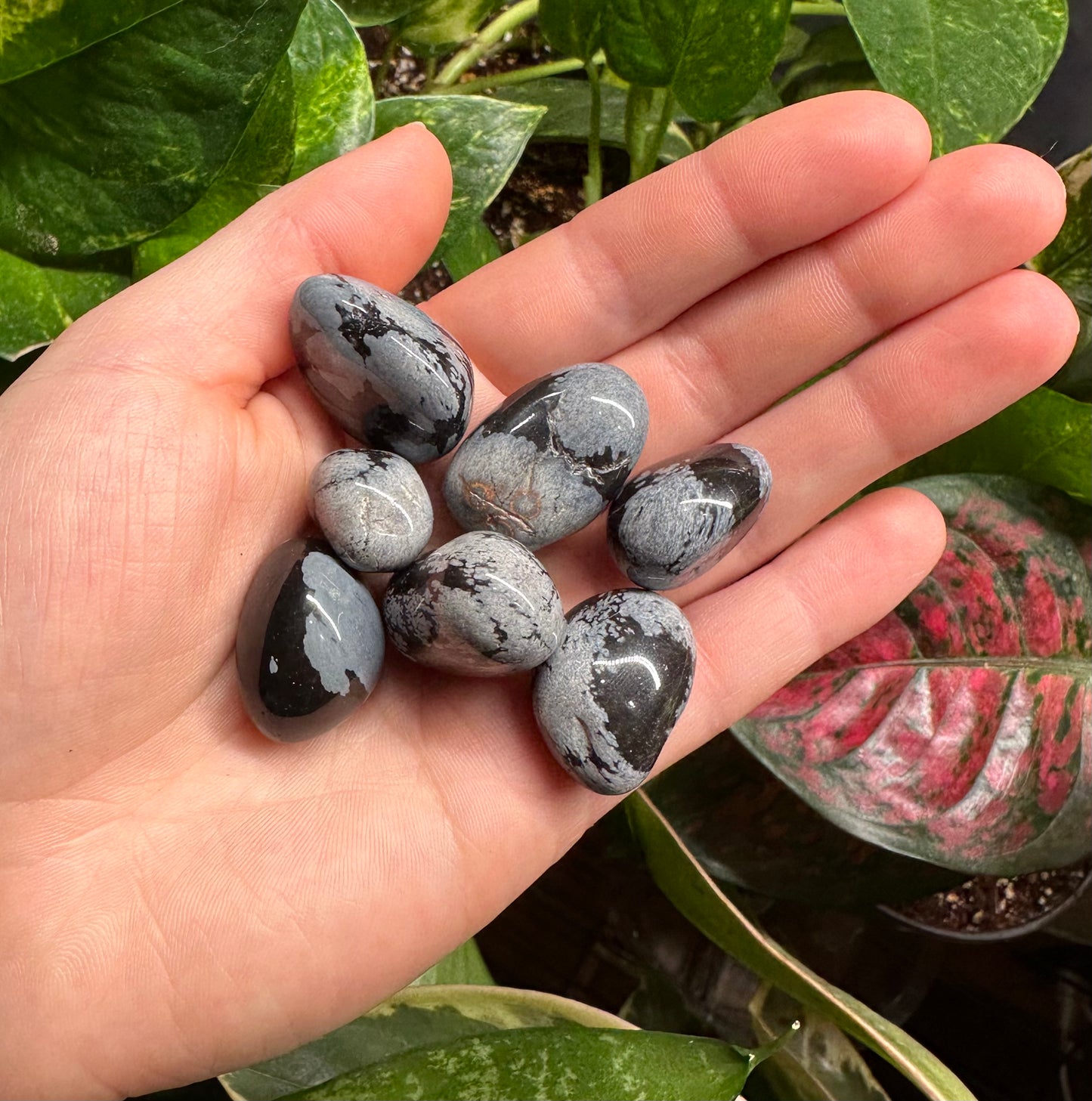 Snowflake Obsidian Tumble