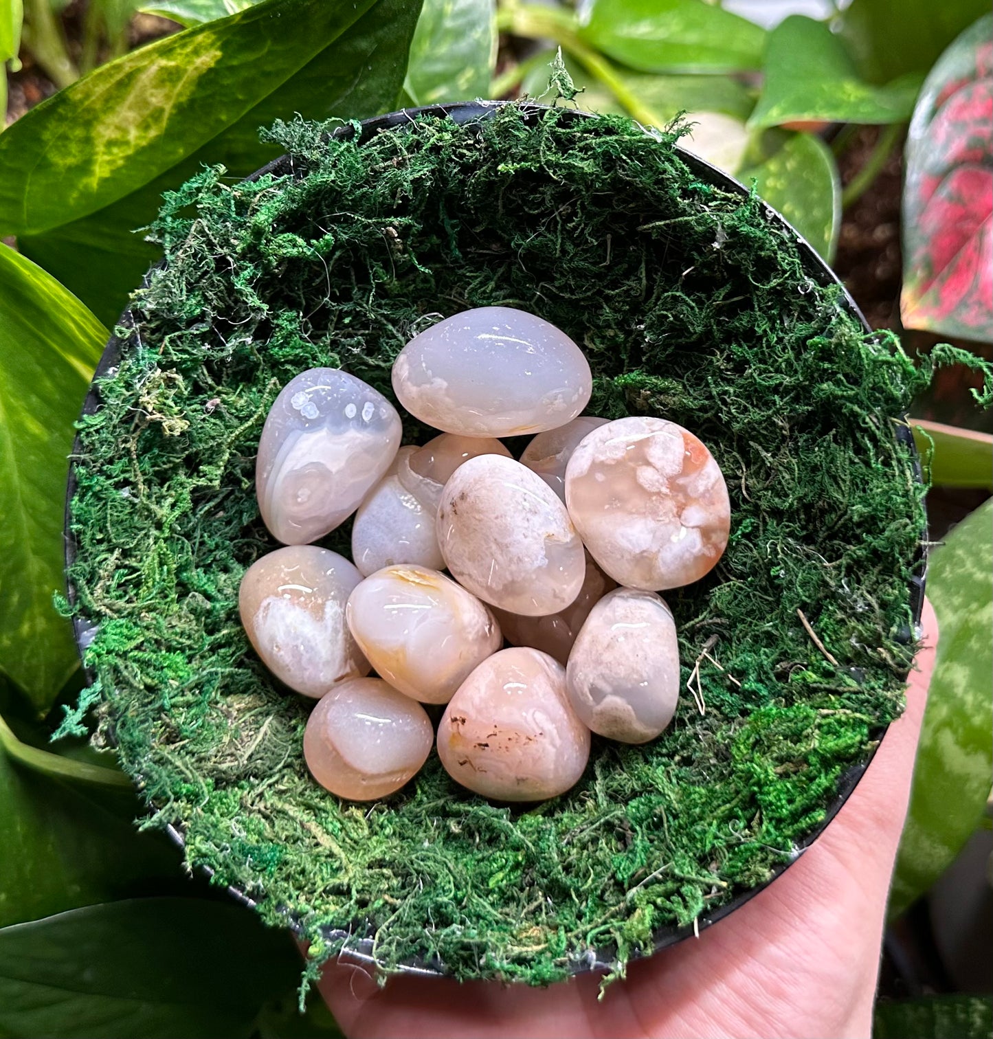 Flower Agate Tumble