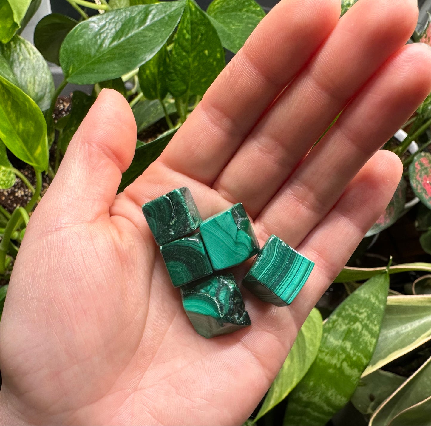 IMPERFECT Malachite Cubes