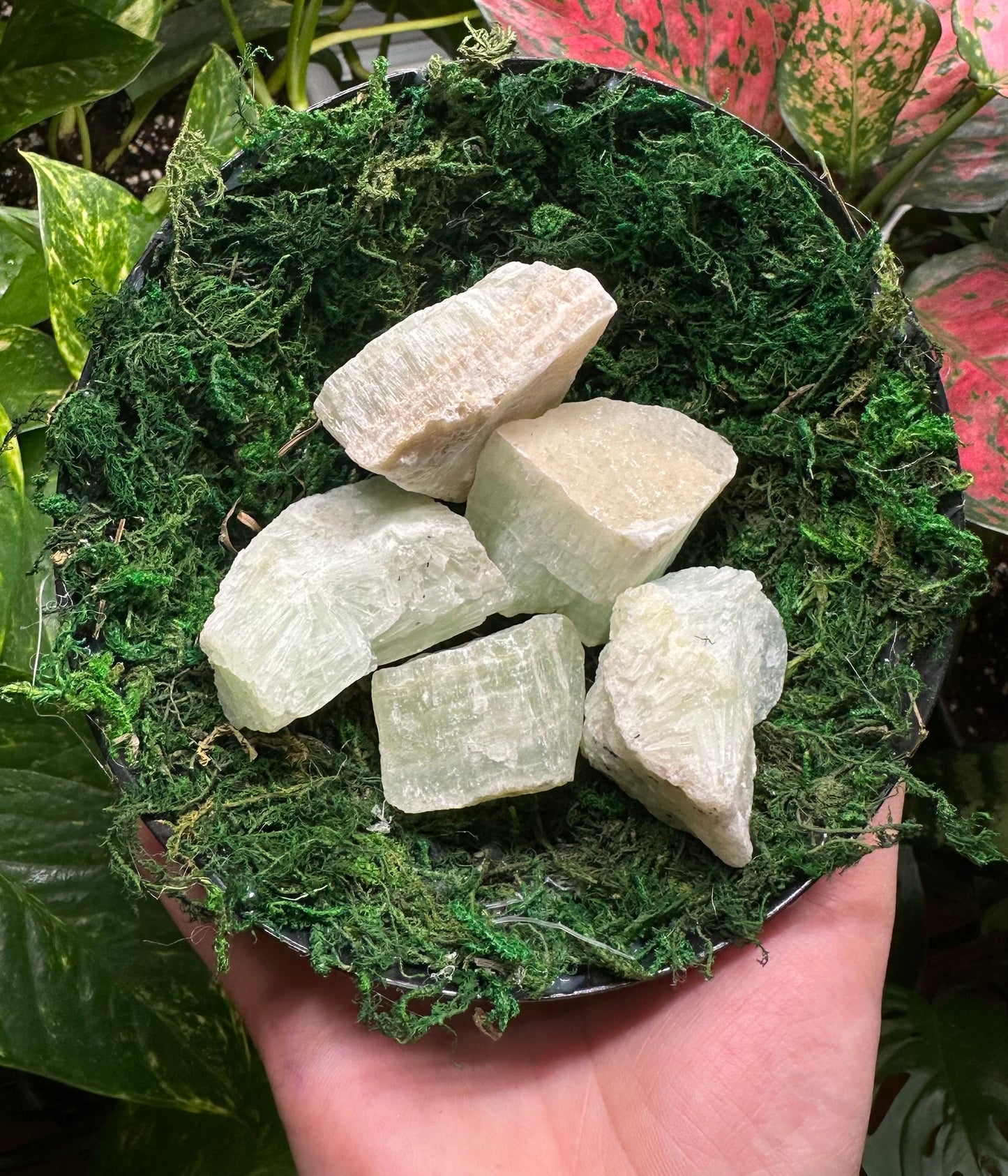 Large Pistachio Calcite