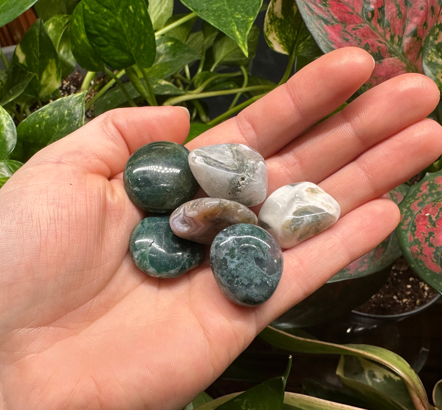 Moss Agate Tumble