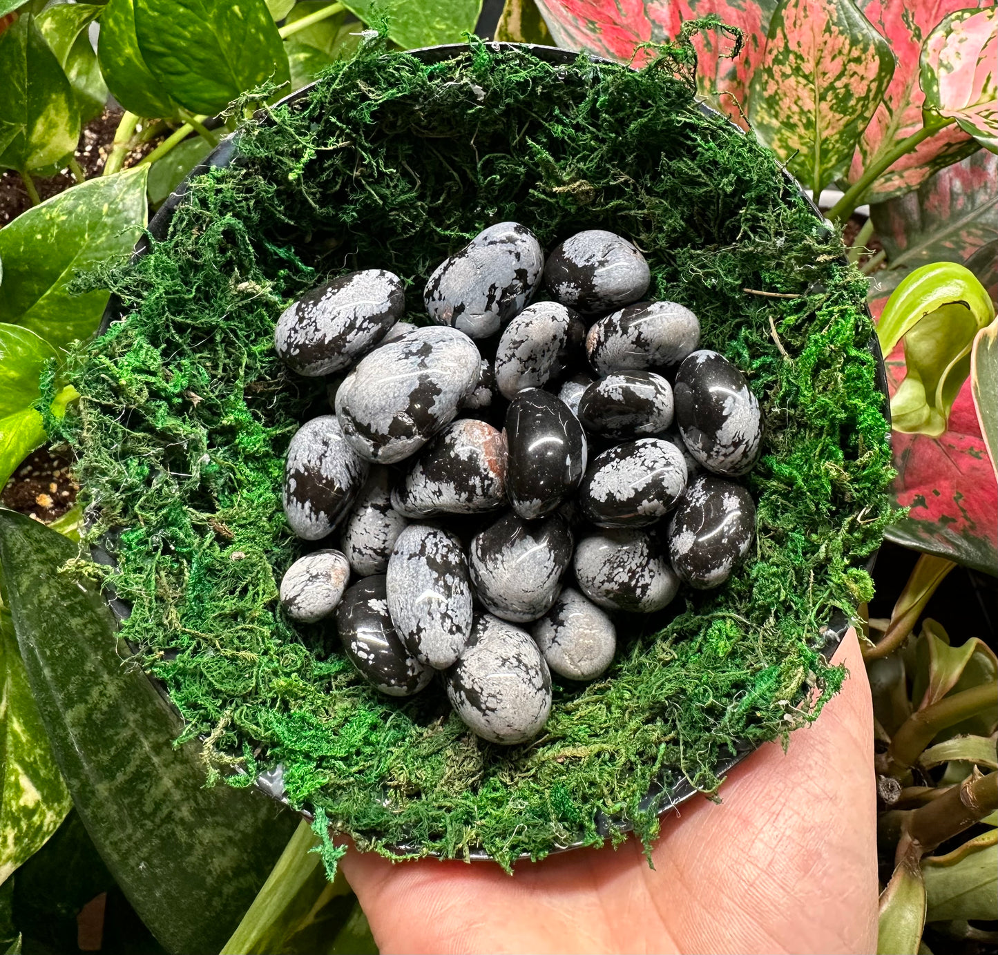 Snowflake Obsidian Tumble