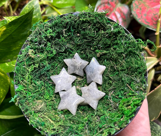 Mini Labradorite Star